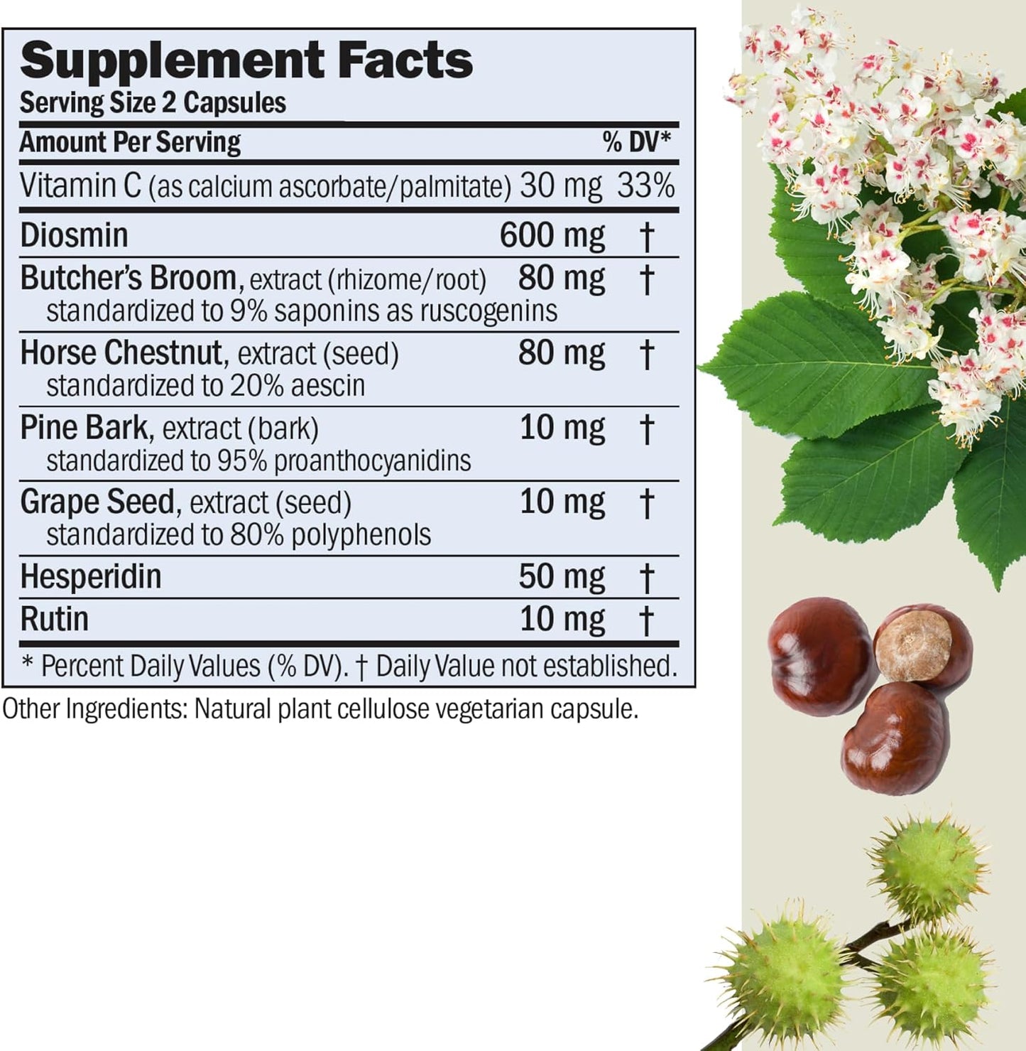 High Bioactivity Circulation and Vein Support Capsules - Visibly Reduces Swelling and Discomfort in Legs - With Diosmin and Butcher's Broom - 60 Capsules