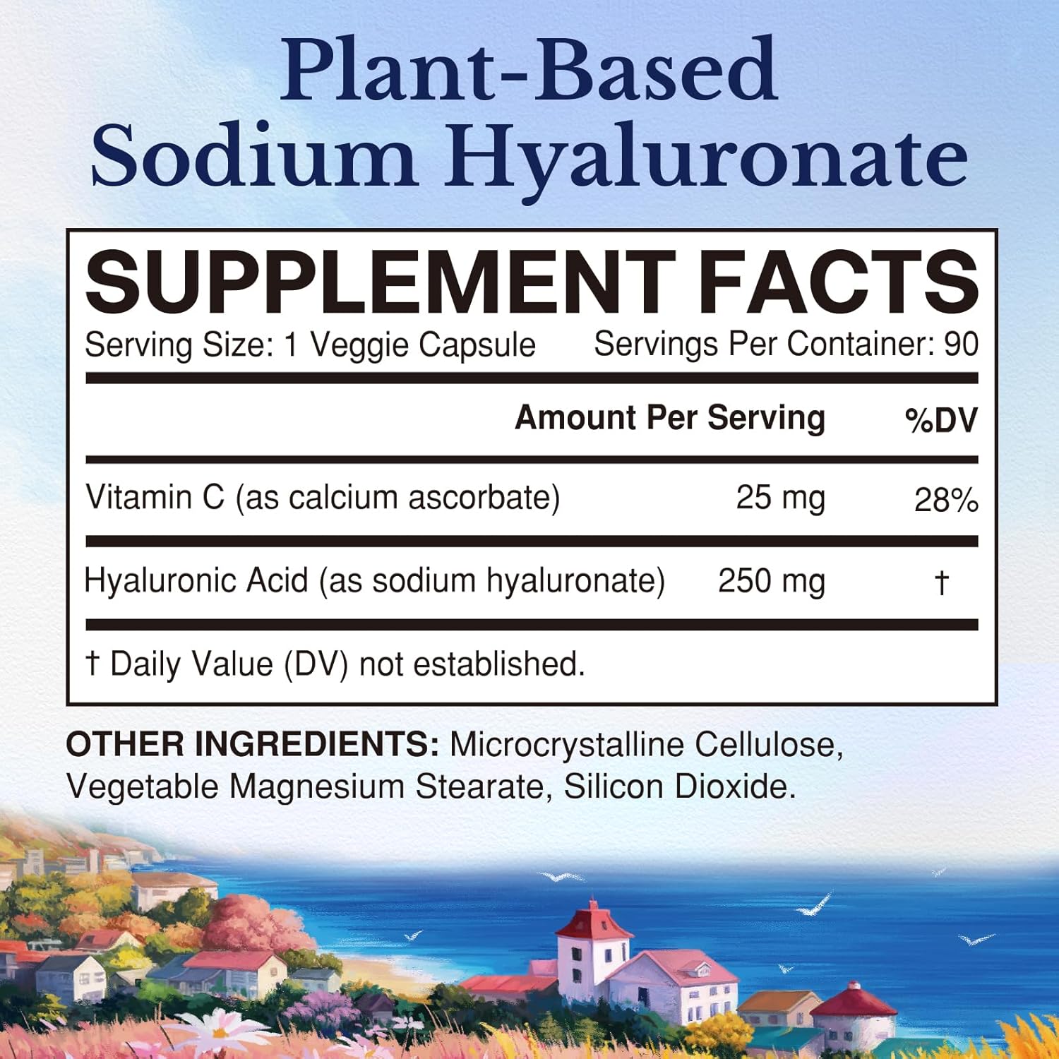 High Bioavailability Hyaluronic Acid with Vitamin C Supplements for Skin and Joint Health, 90 Capsules