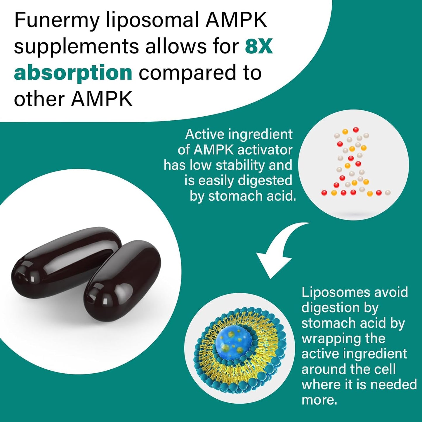 High Bioavailability Liposomal AMPK Activator 2000 mg Capsules - Berberine HCL, DIM, Milk Thistle, Cinnamon Bark - 6-in-1 Antioxidant Support and Cellular Regulation - 120 Softgels