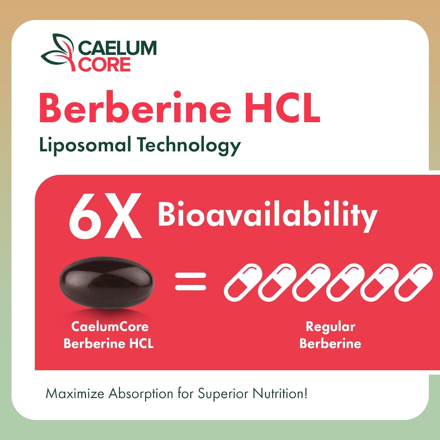 High Bioavailability Liposomal Berberine HCL Supplement - 1500mg Activates AMPK & GLP-1, Berberine for Overall Health Support - Women and Men, 1 Pack