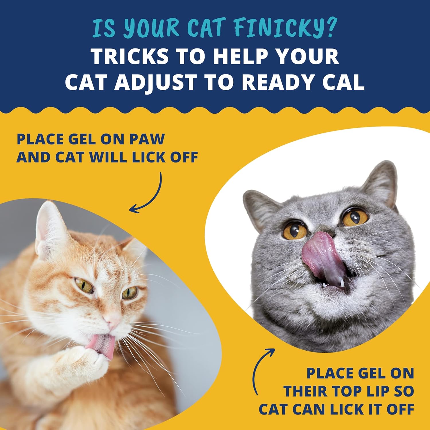 High Calorie Cat Supplement | Under The Weather Pet Ready Cal 100cc | Weight Gainer & Calorie Booster | 10 Vitamins, 7 Minerals, Omega Fatty Acids