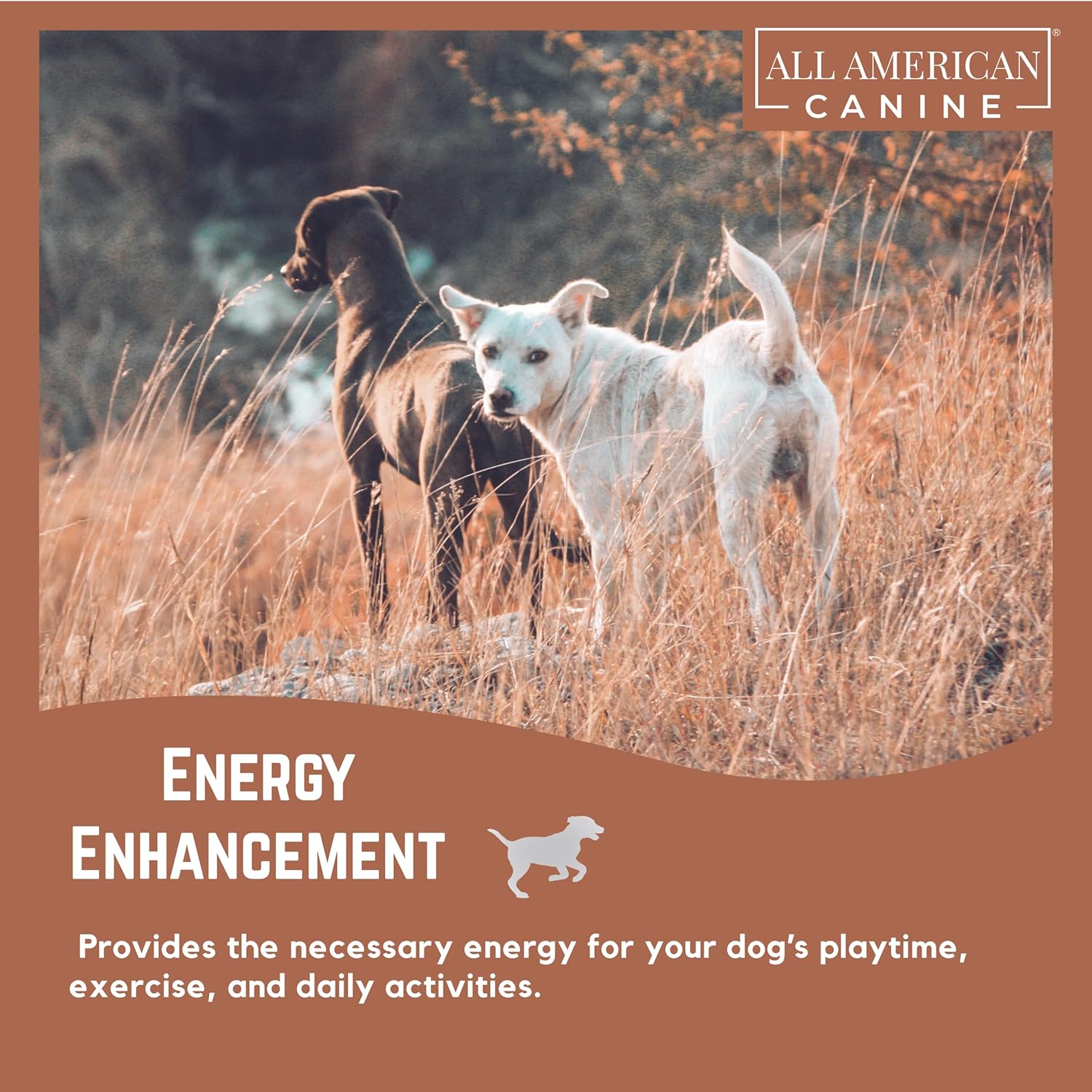 High Calorie Dog Food Supplement for Rapid Weight Gain & Recovery - All American Canine Dog Weight Gainer - Protein Powder with Appetite Stimulant - 60 Servings