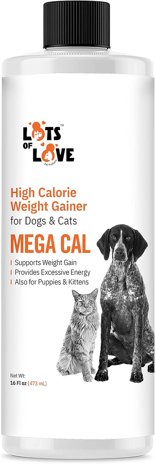 High Calorie Dog Weight Gainer Supplement for Healthy Weight Management - 16 fl oz