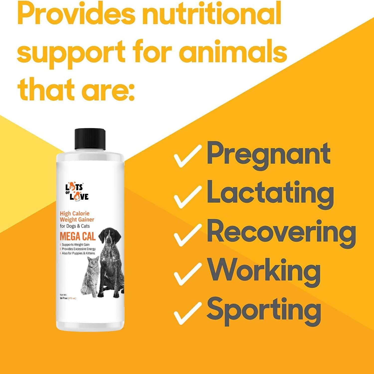 High Calorie Dog Weight Gainer Supplement for Healthy Weight Management - 16 fl oz