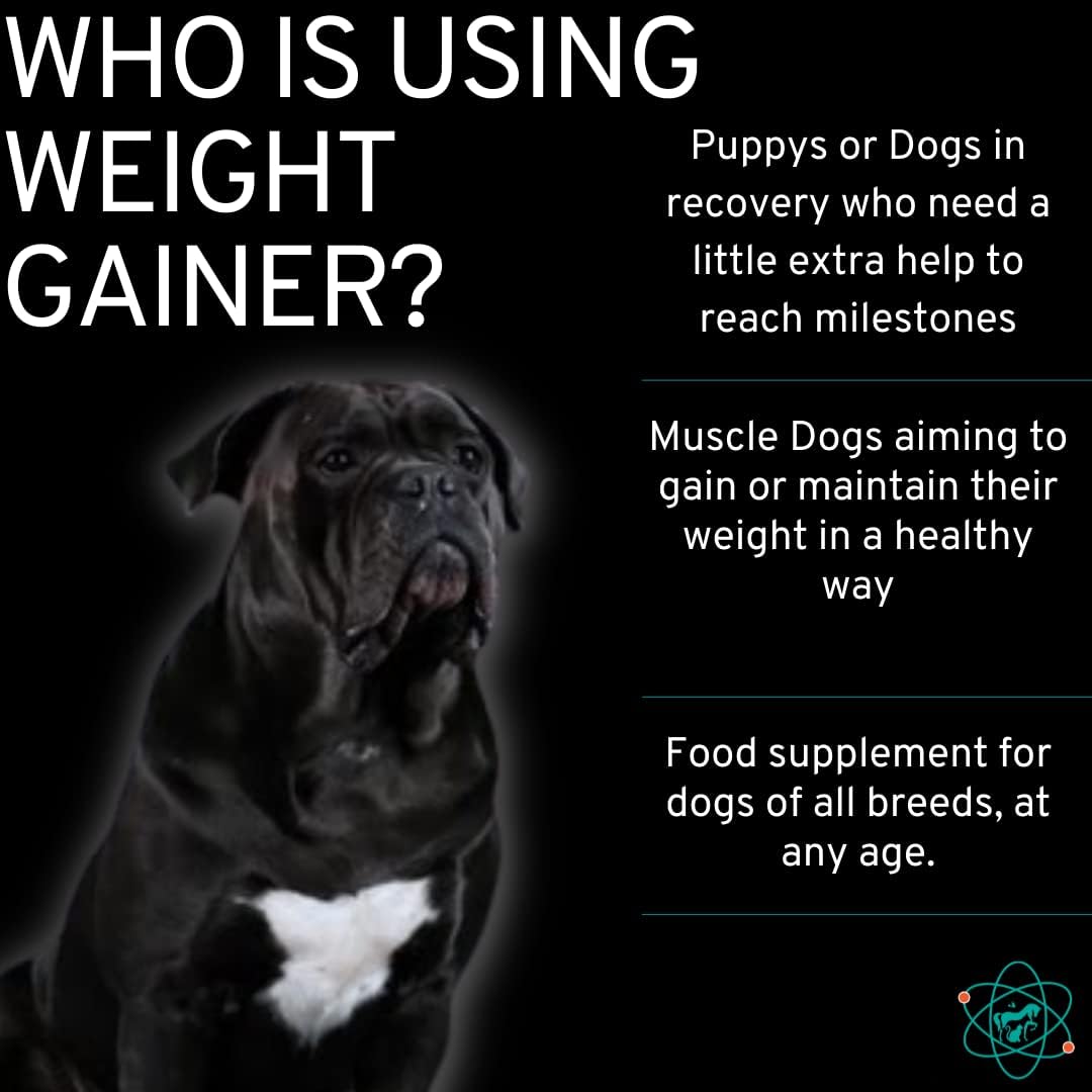 High Calorie Dog Weight Gainer Supplement for Muscle Growth - 45 Servings - Canine Protein Powder - Pet Care Sciences
