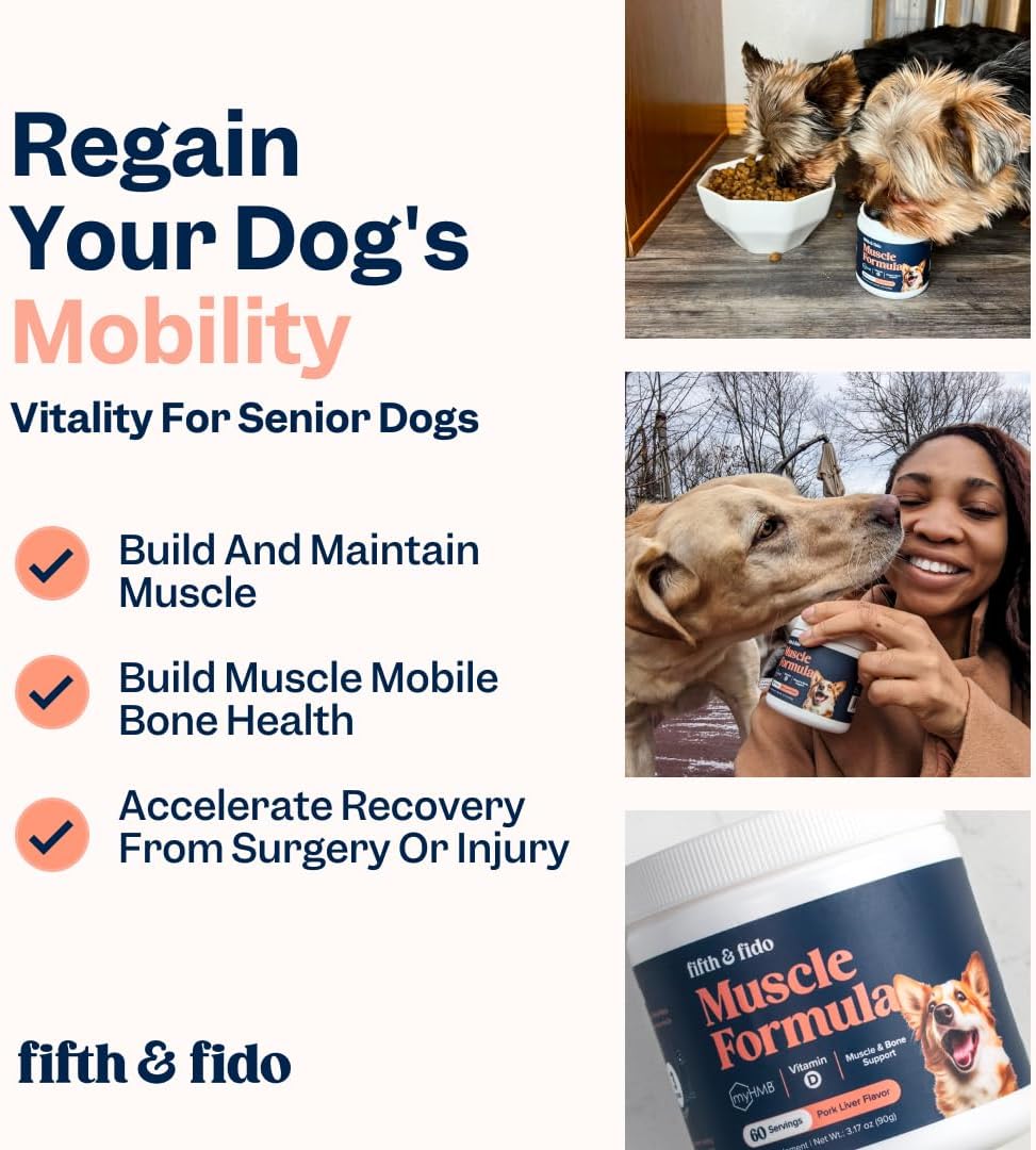 High Calorie Protein Powder for Dogs - Weight Gain Supplement for Puppies and Senior Dogs - Supports Muscle & Energy Recovery - 3.17 oz (60 Servings) by Fifth & Fido