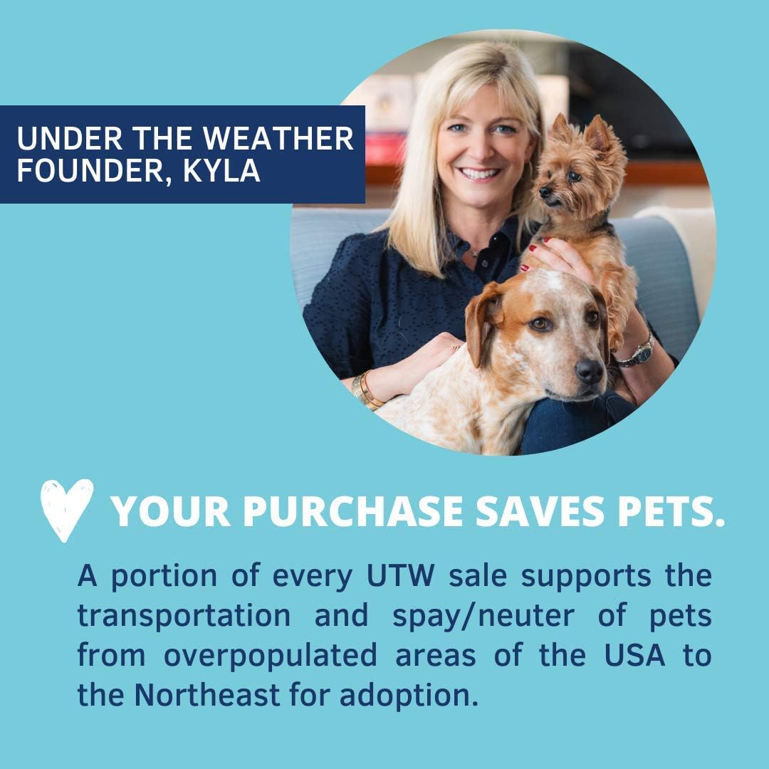 High Calorie Puppy Nutritional Supplement - Under the Weather Pet Ready Cal for Puppies 100cc - Weight Gainer with Vitamins, Minerals, and Omega Fatty Acids