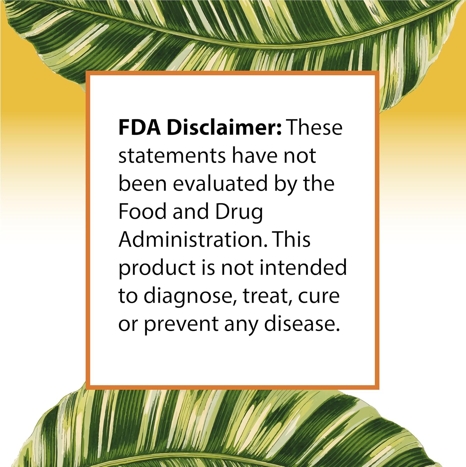 High Dose Vitamin C 1500mg Capsules with Sunflower Lecithin for Milk Flow - 180 Count