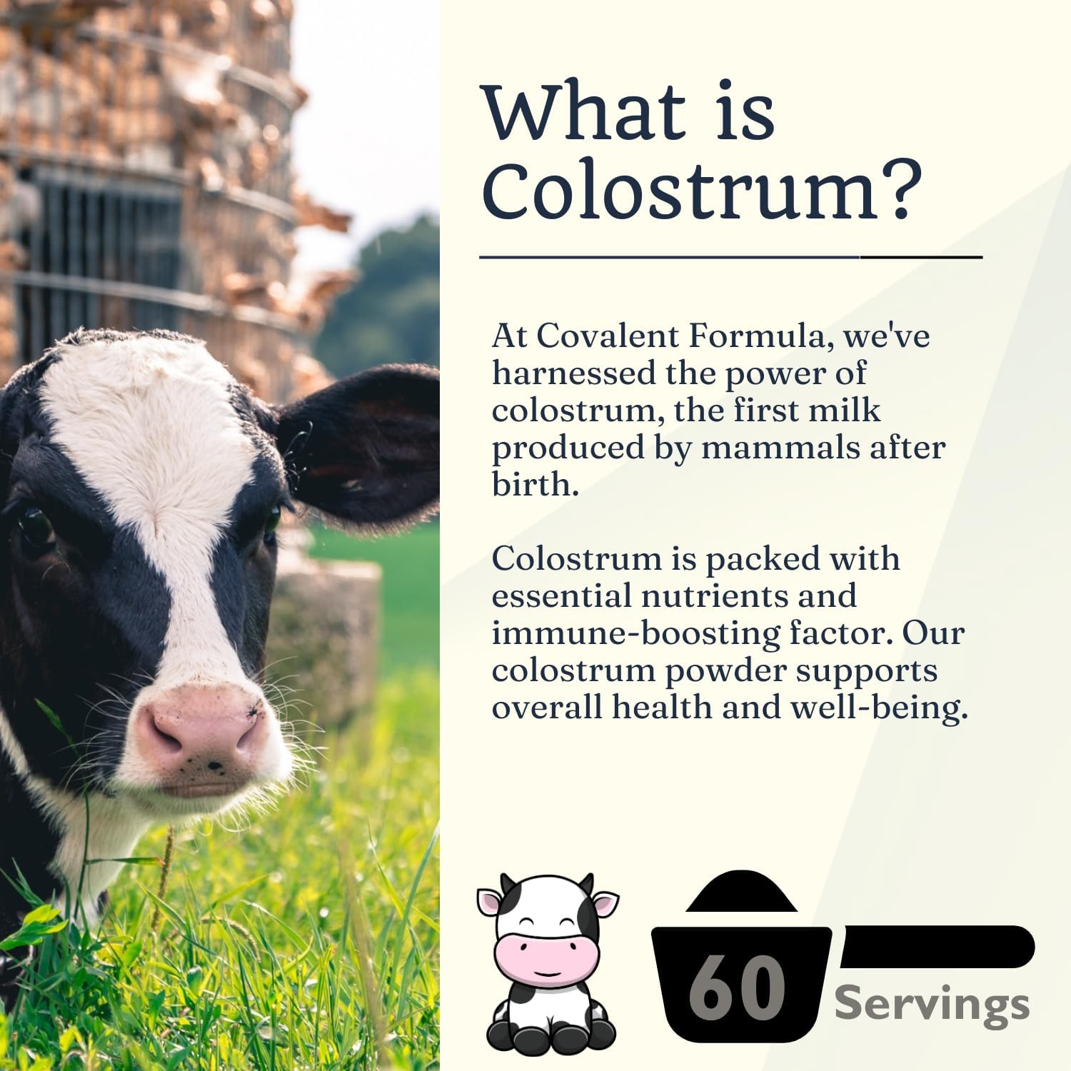 High IgG Content Japanese Colostrum Powder - Non-GMO & Gluten Free Immunity Supplement