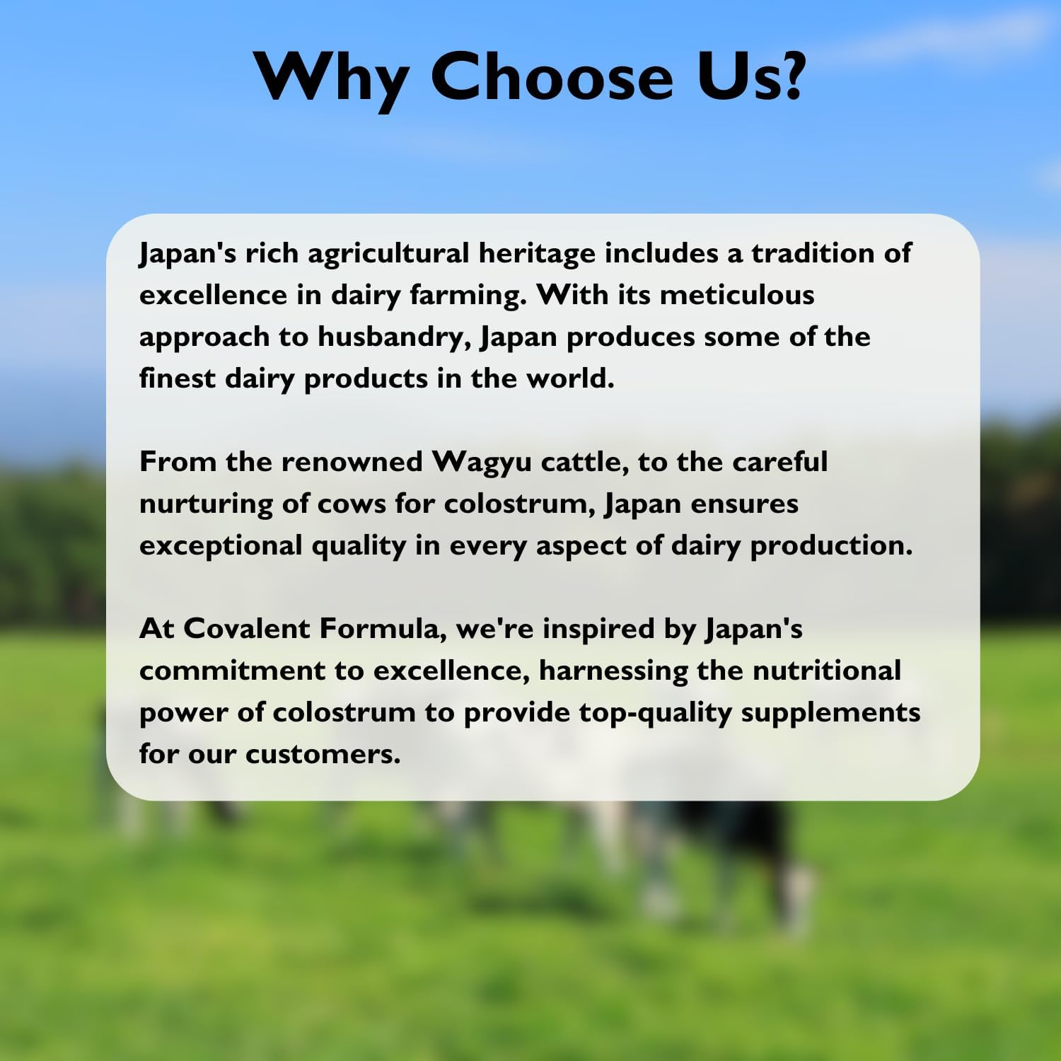 High IgG Content Japanese Colostrum Powder - Non-GMO & Gluten Free Immunity Supplement