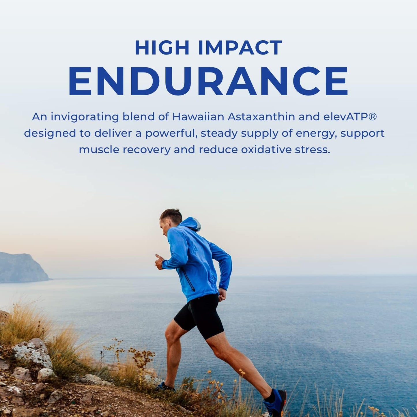 High Impact Plant Protein by POWERLIFE Tony Horton - Vanilla (New Formula) with 3000 MG HMB, Sugar-Free, Non-GMO for High Impact Endurance
