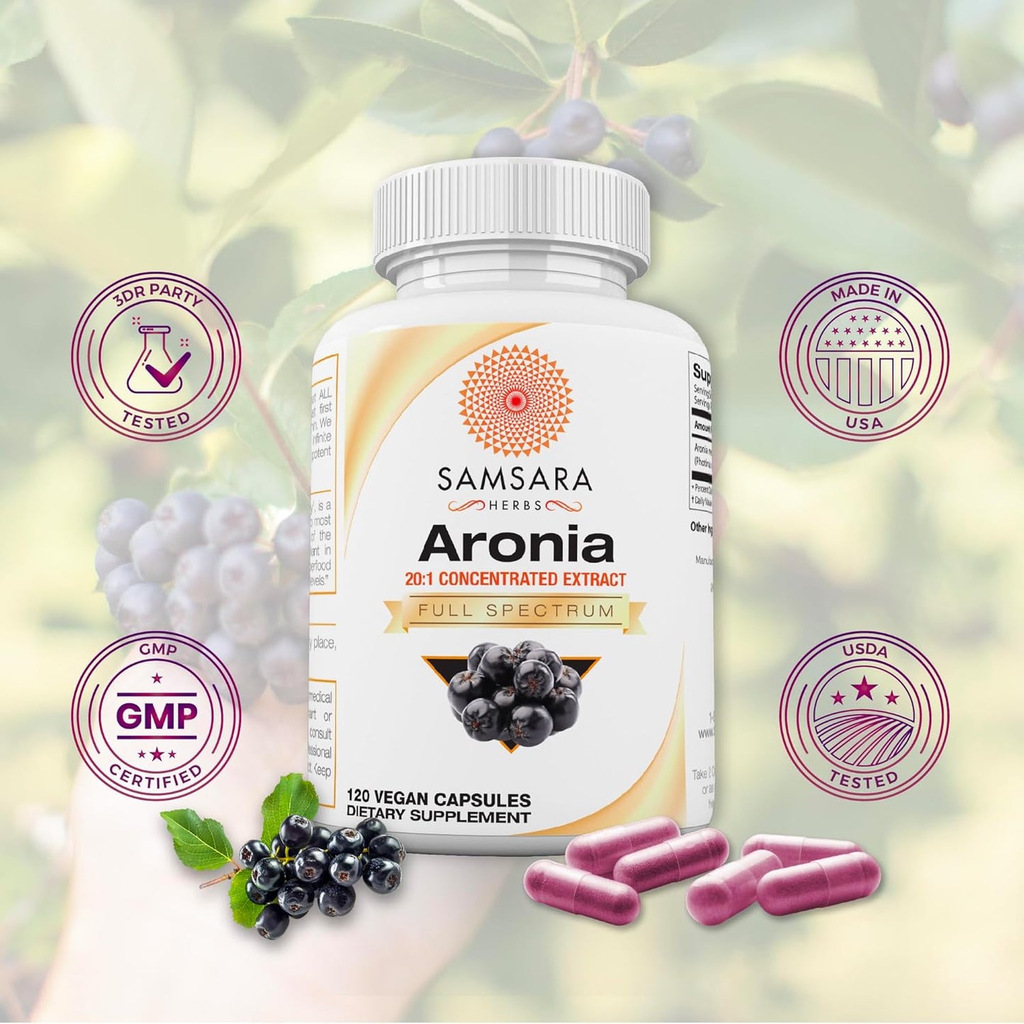 High ORAC Aronia Berry Extract Capsules - Antioxidant Polyphenols Supplement - Native American Superfood for Wellbeing - 120x500mg