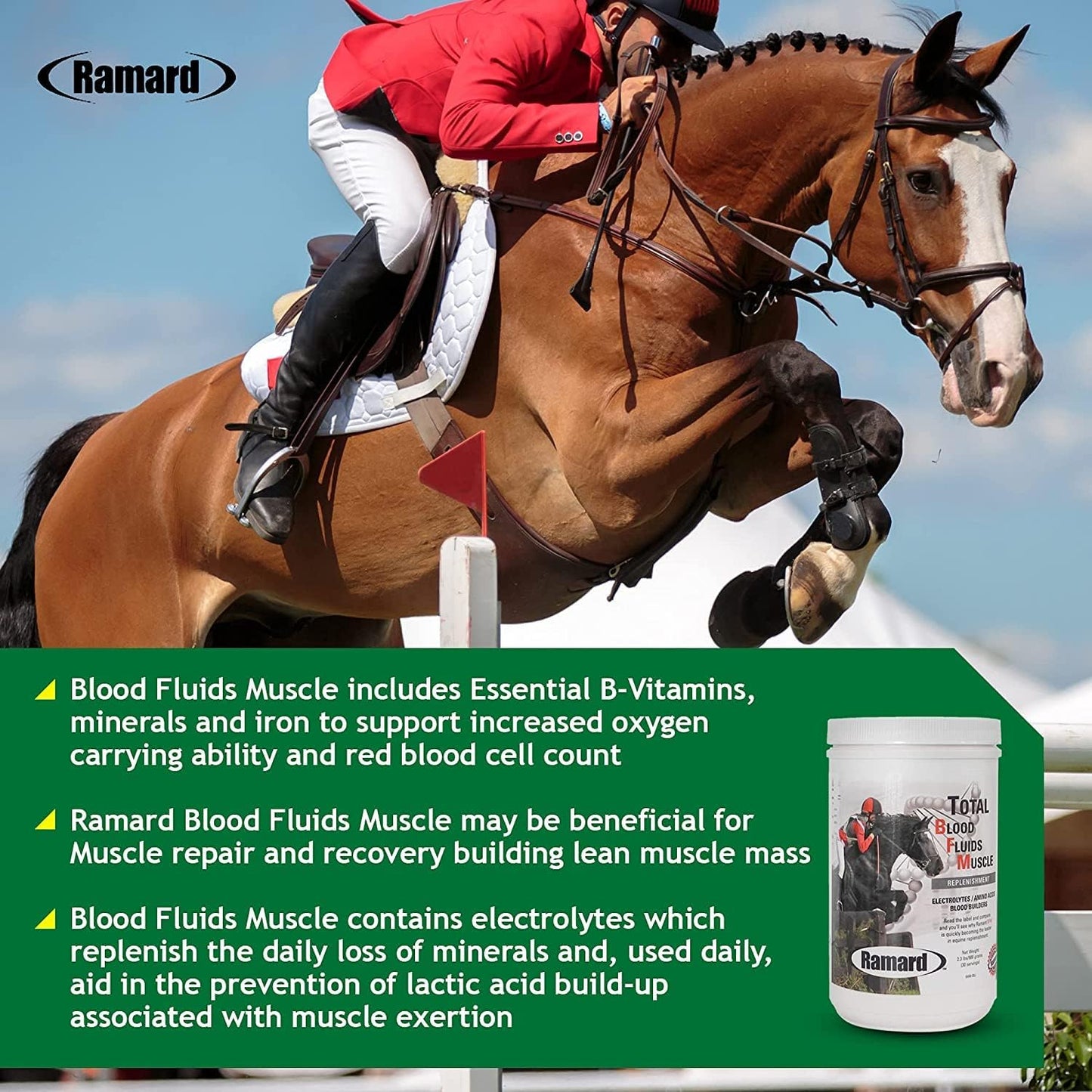 High-Performance Equine Electrolyte & Muscle Builder Powder Supplement - 2.3 lbs Jar