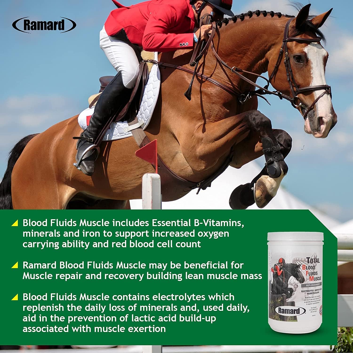 High-Performance Equine Electrolyte & Muscle Builder Powder Supplement - 2.3 lbs Jar