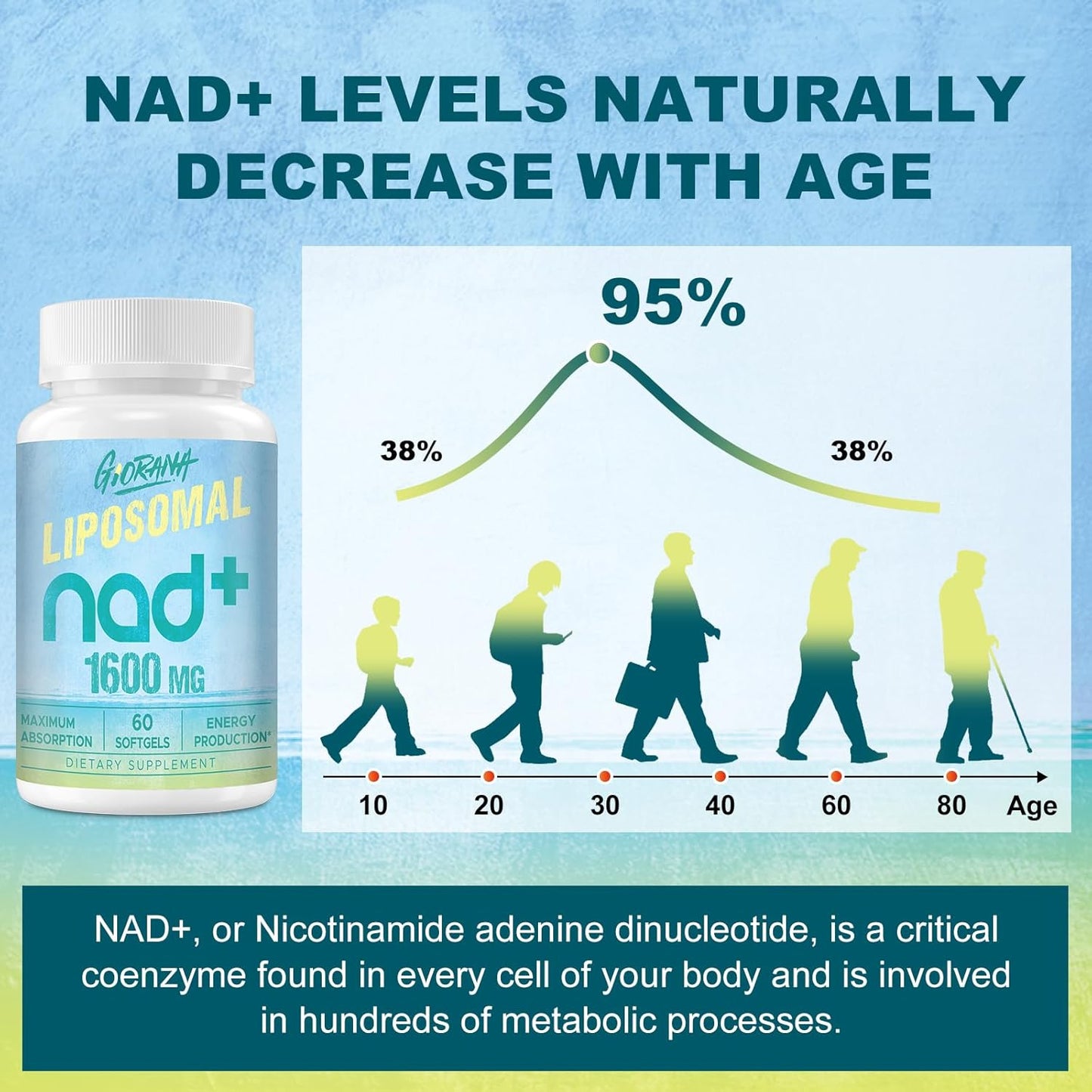 High Potency 1600 MG Liposomal NAD+ Supplement for Energy, Longevity & Aging Defense - 60 Softgels