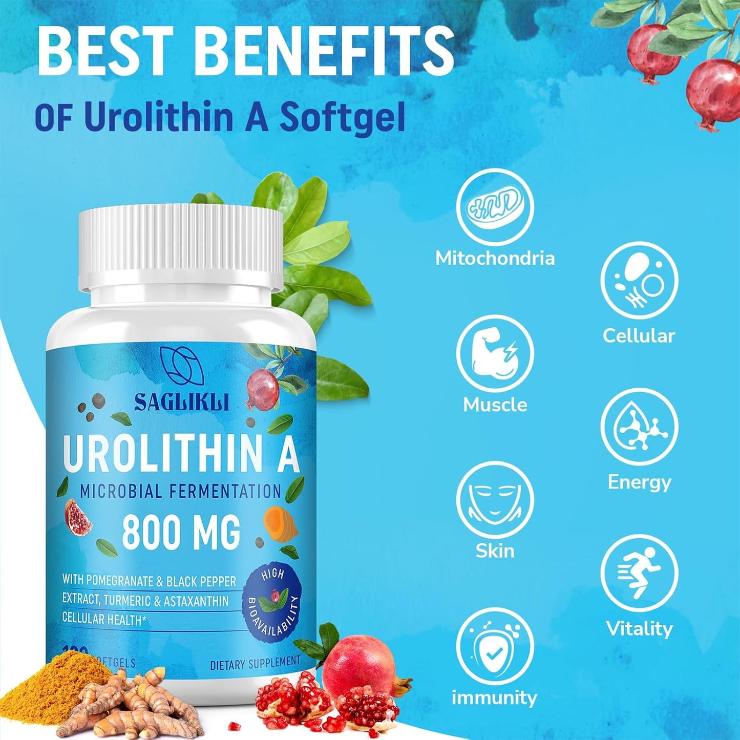 High-Potency 800MG Urolithin A Supplement Softgels for Health - Pack of 120