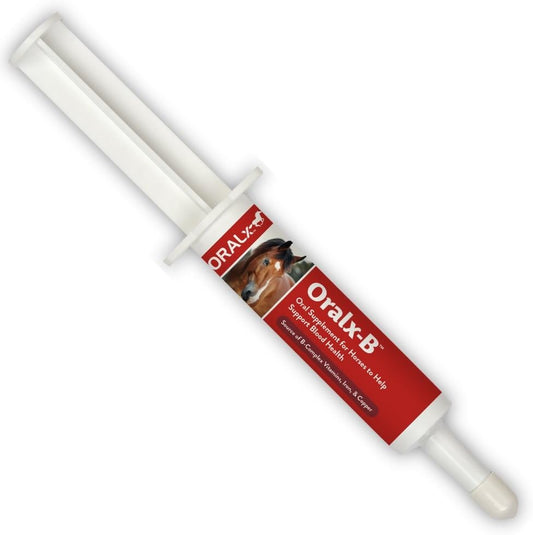 High-Potency B-Vitamin and Chelated Mineral Booster Oral Paste for Horses - Made in USA with Guaranteed Analysis