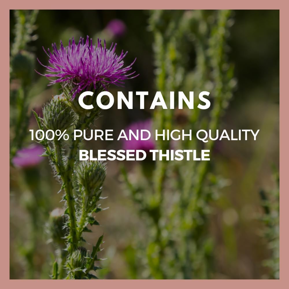 High Potency Blessed Thistle Capsules | 1,000mg, 60 Vegan Capsules | Herbal Dietary Supplement | Non-GMO & Gluten-Free