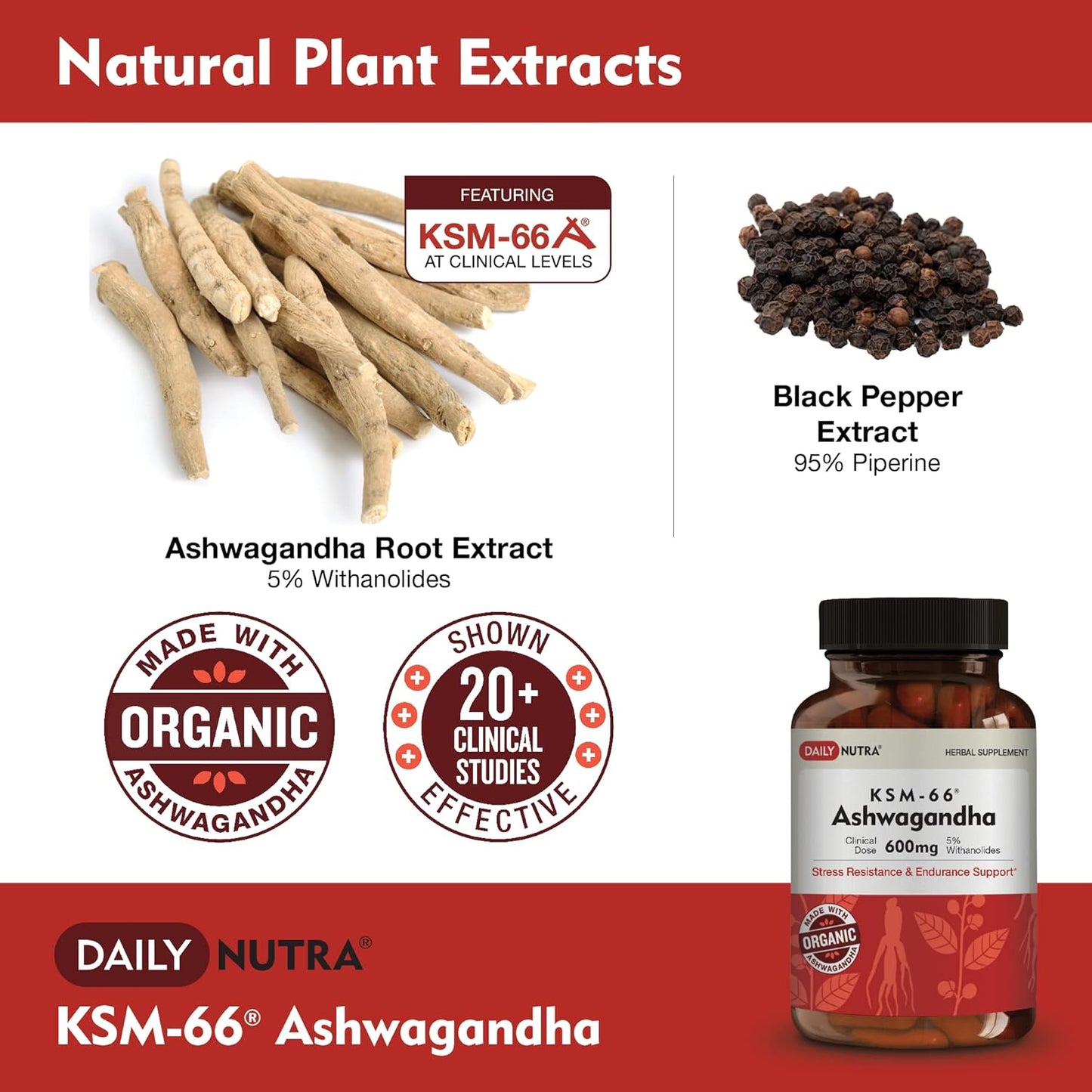 High Potency DailyNutra KSM-66 Ashwagandha Organic Root Extract Capsules - Supports Relaxation, Focus, & Energy - 90 Count