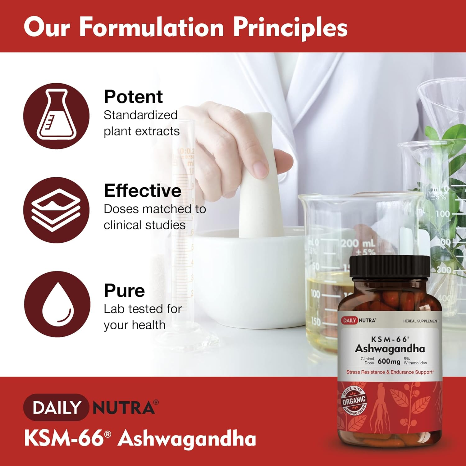 High Potency DailyNutra KSM-66 Ashwagandha Organic Root Extract Capsules - Supports Relaxation, Focus, & Energy - 90 Count