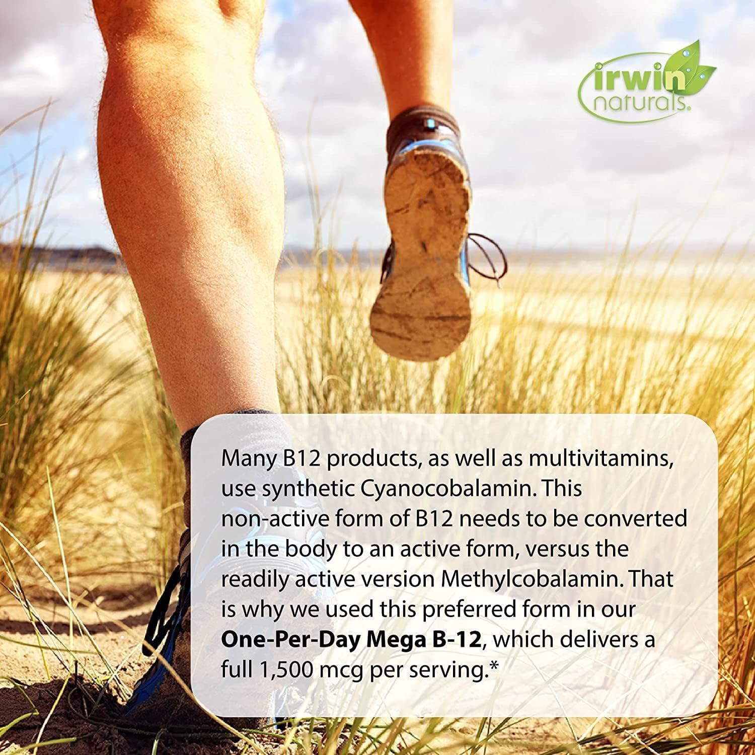 High Potency Irwin Naturals Mega B-12 Methylcobalamin Vitamin - Fast Absorption with MCT & Ginseng - Natural Energy Boost - 60 Softgels + Pill Case