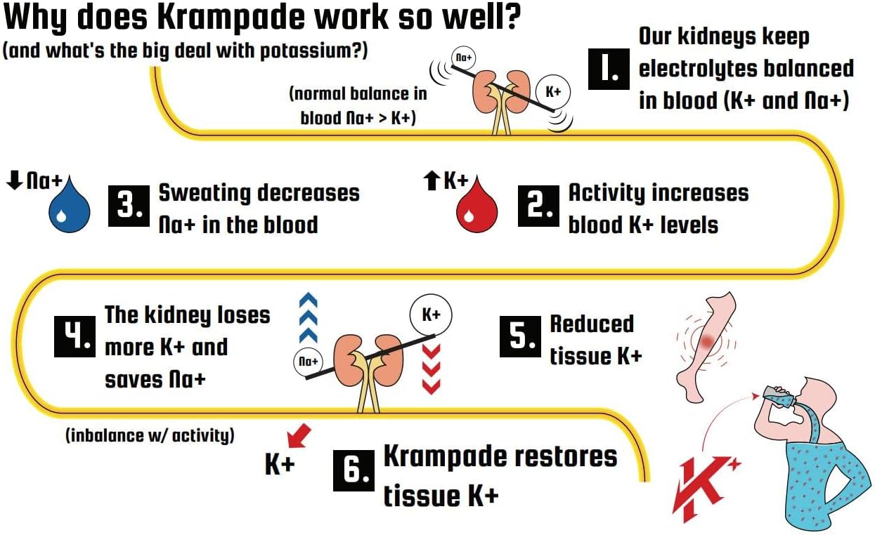 High Potency Krampade Electrolyte Powder with 4000mg Potassium for Instant Cramp Relief and Hydration Boost