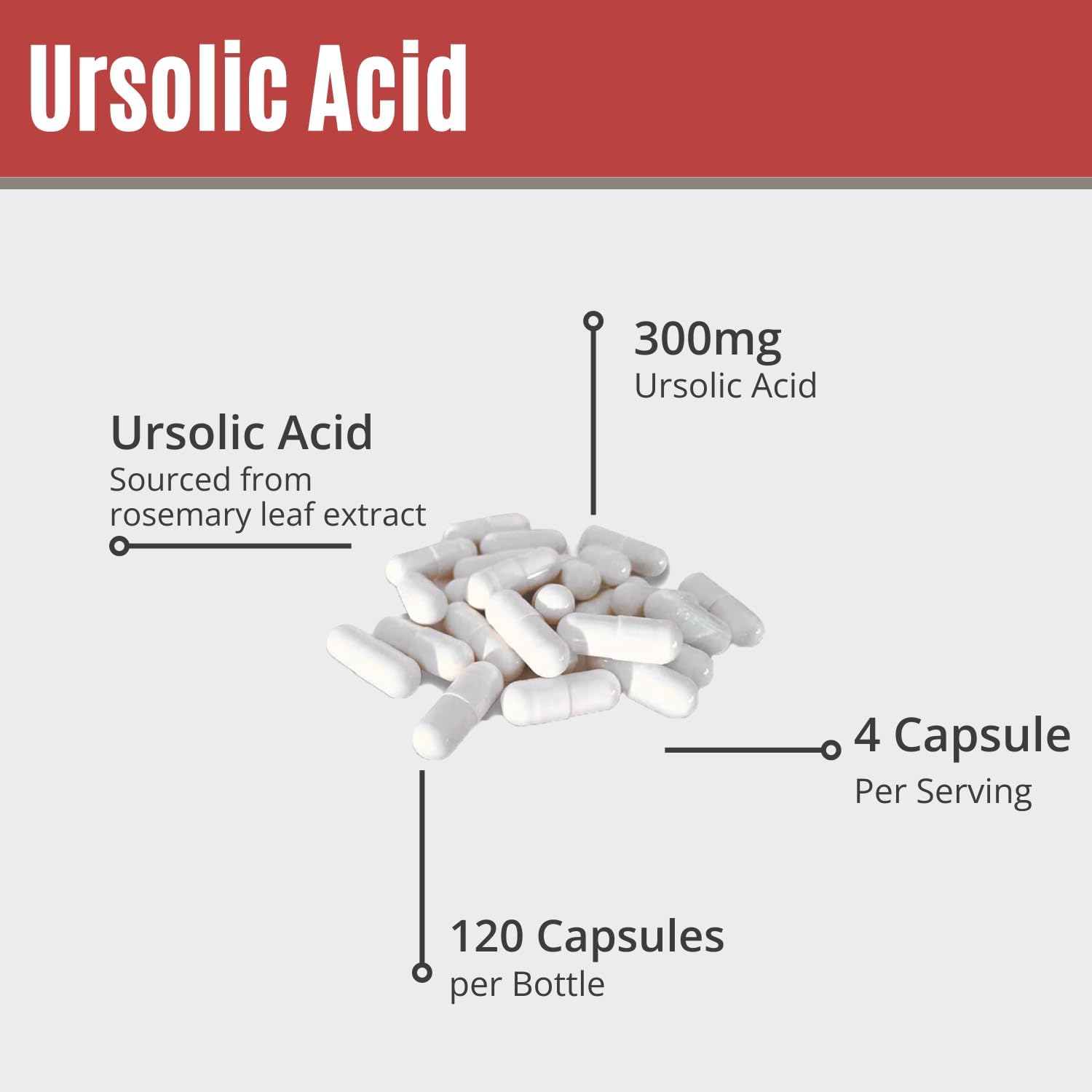 High Potency MAAC10 Ursolic Acid Capsules | 300mg per Serving | Rosemary Extract | AMPK & Sirtuin Activator | Lab Tested