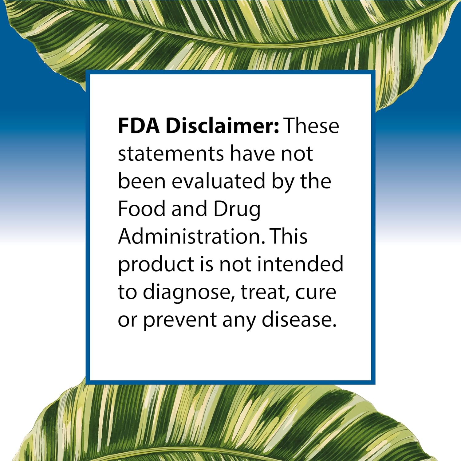 High Potency Omega 3 Fish Oil Supplement with 2000mg Dose - Non GMO Fatty Acid for Pets and Humans - Made in USA