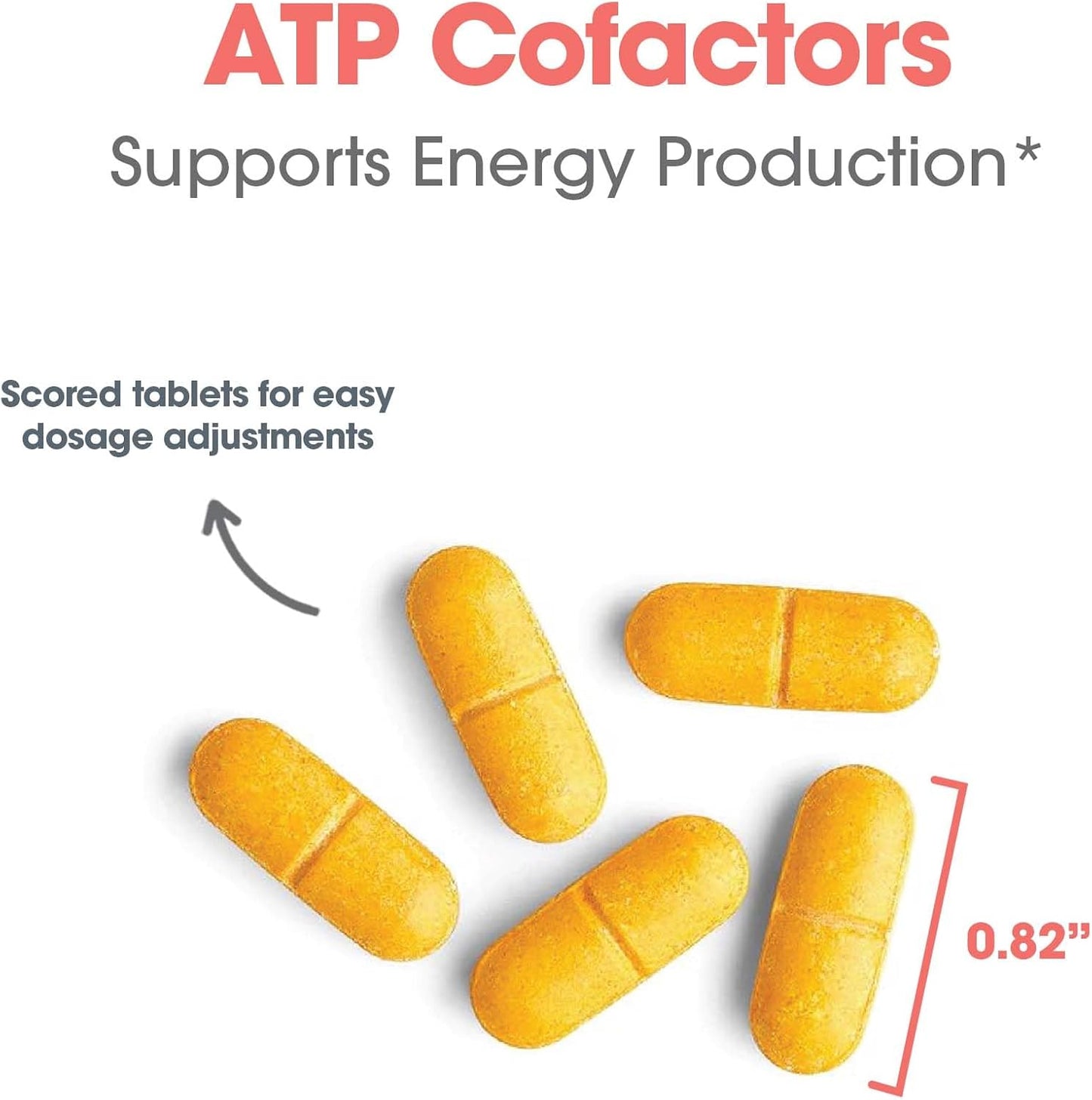 High Potency Optimox ATP Cofactors Vitamin B Complex Supplement for Men & Women - 90 Tablets, Vitamin B2 100mg, Vitamin B3 500mg, Riboflavin, Niacin