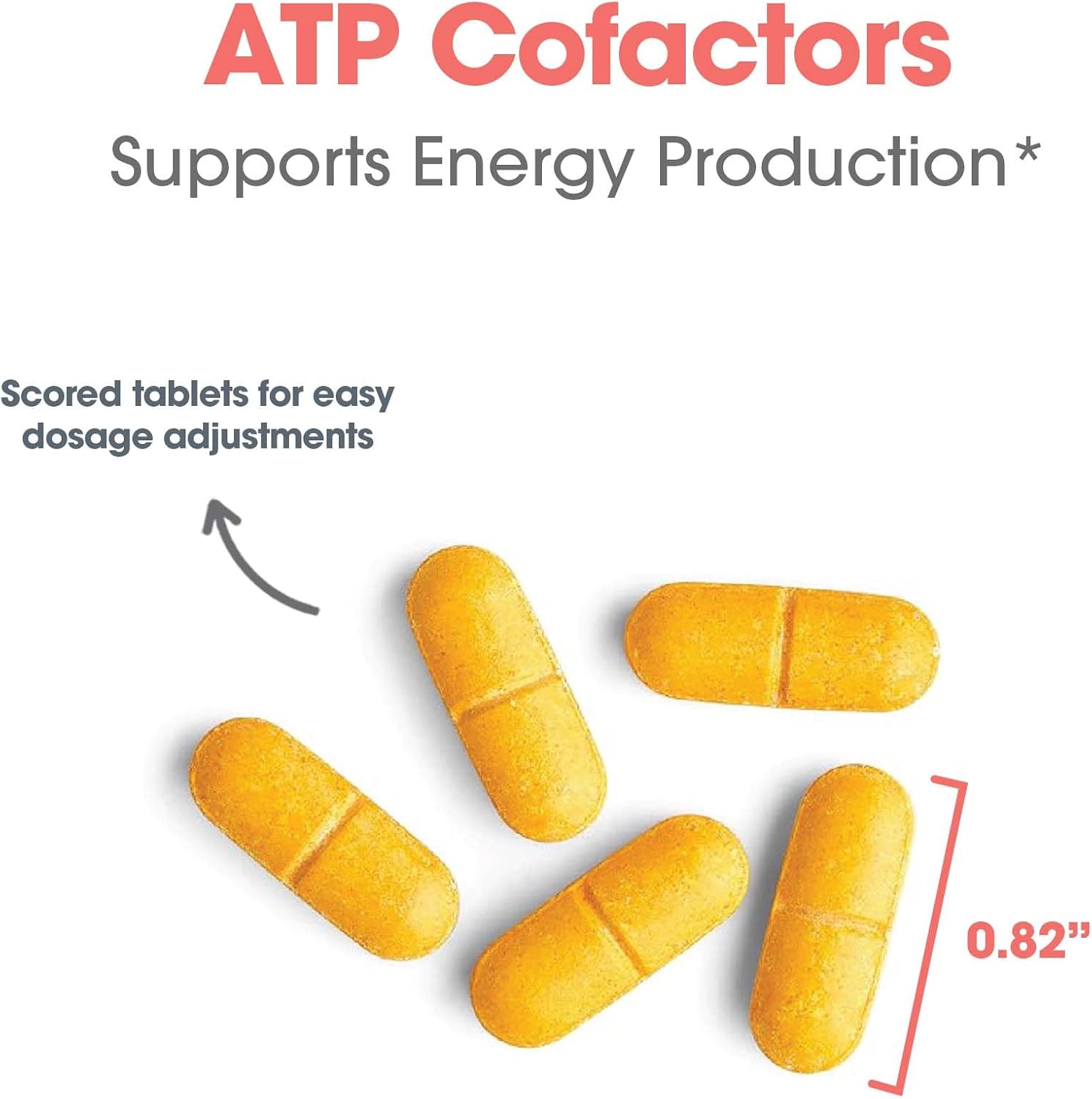 High Potency Optimox ATP Cofactors Vitamin B Complex Supplement for Men & Women - 90 Tablets, Vitamin B2 100mg, Vitamin B3 500mg, Riboflavin, Niacin