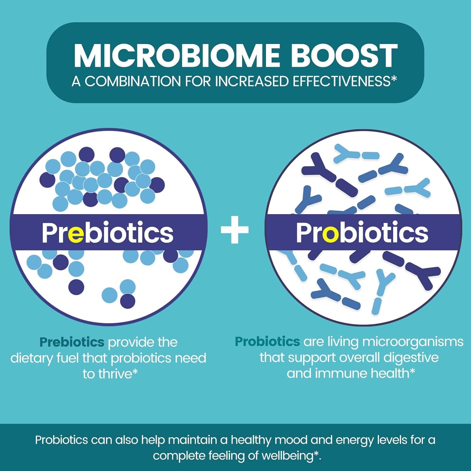 High Potency Probiotic & Prebiotic Supplement - 50 Billion CFU - Immune & Digestive Support for Men & Women - 16 Strains - 60 Delayed Release Capsules