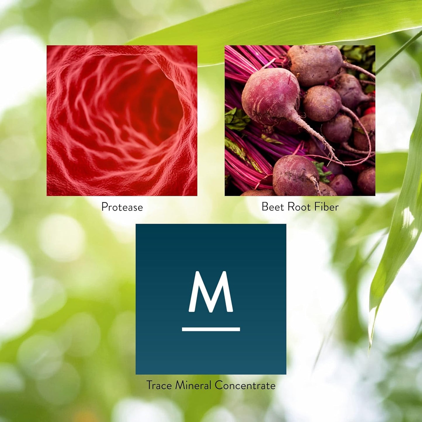 High Potency Protease Enzyme Supplement - 60 Capsules from Nature's Sunshine