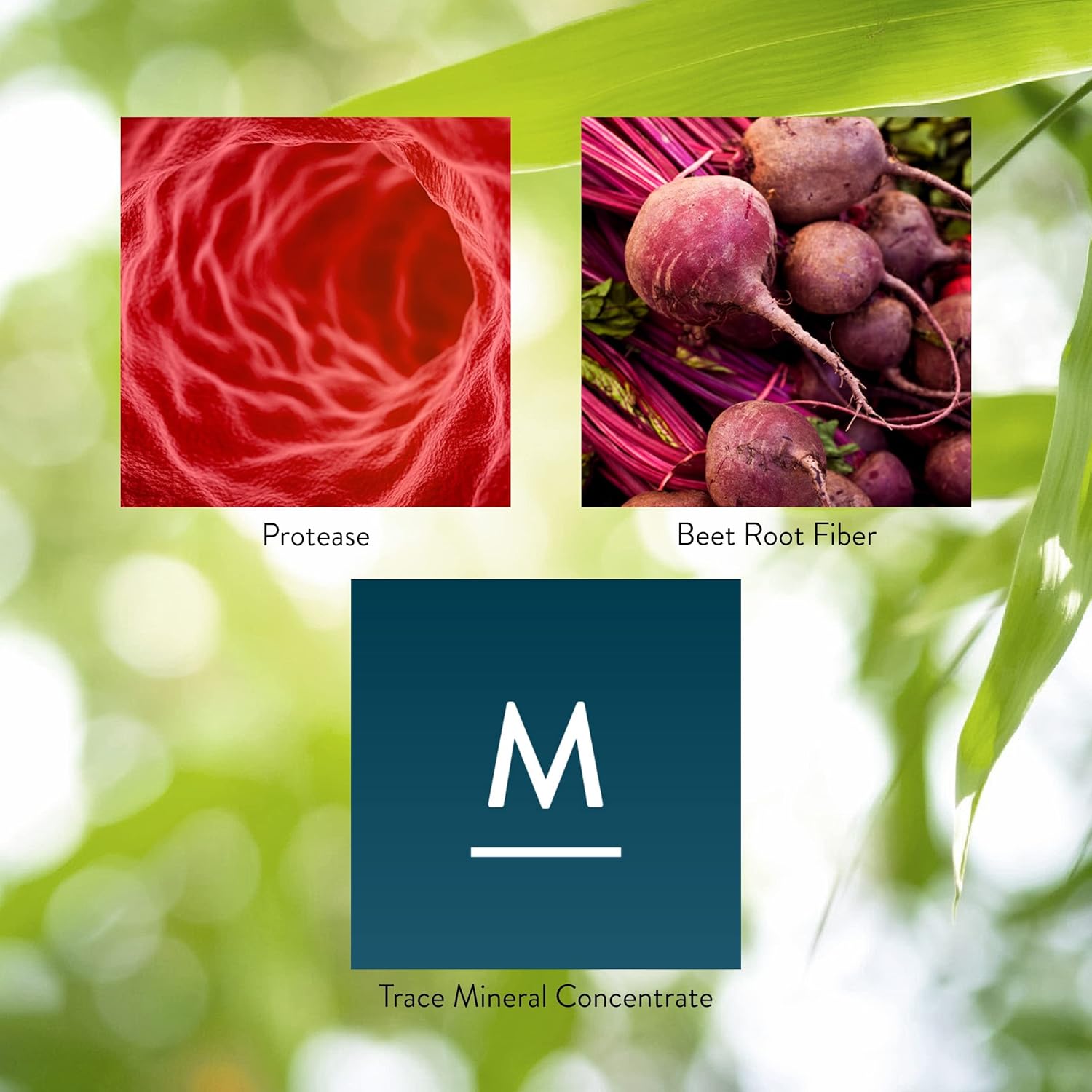 High Potency Protease Enzyme Supplement - 60 Capsules from Nature's Sunshine