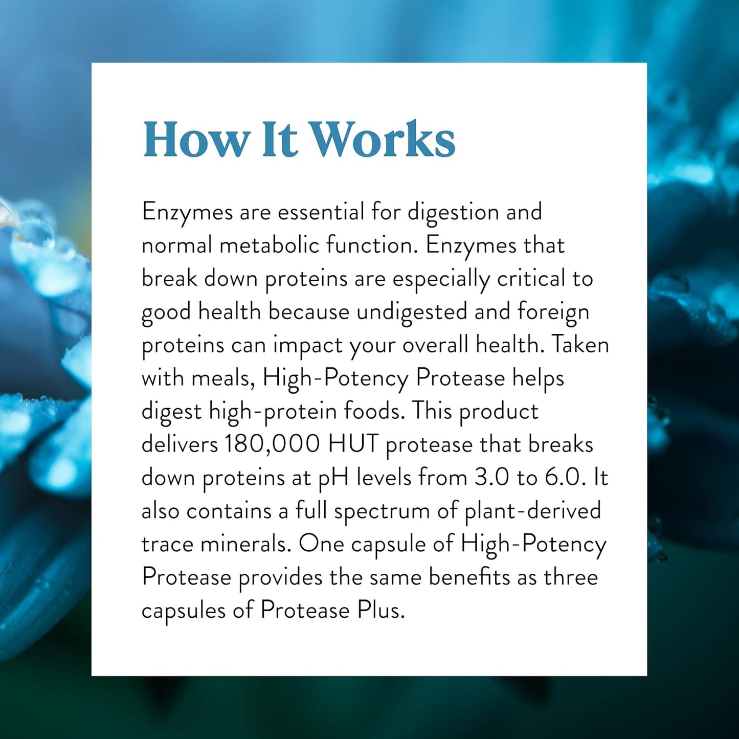 High Potency Protease Enzyme Supplement - 60 Capsules from Nature's Sunshine