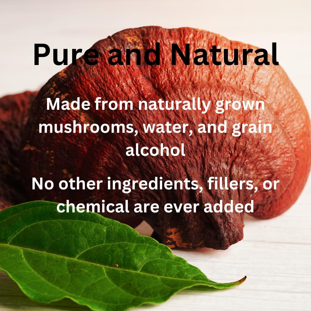 High Potency Reishi Mushroom Tincture, 2 Fl oz, 60 Daily Doses, Double Extracted Formula