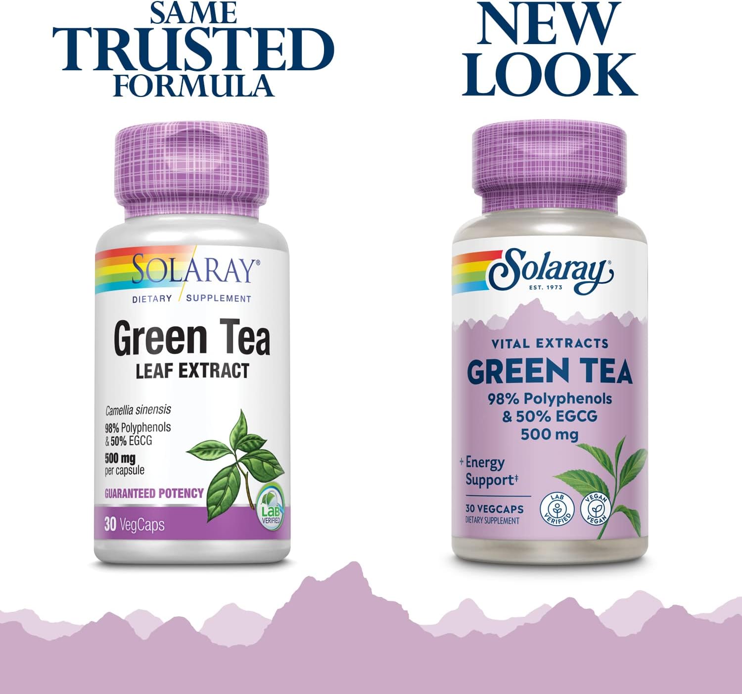 High Potency Solaray Green Tea Leaf Extract Veg Capsules 500mg - 30 Count Bottle