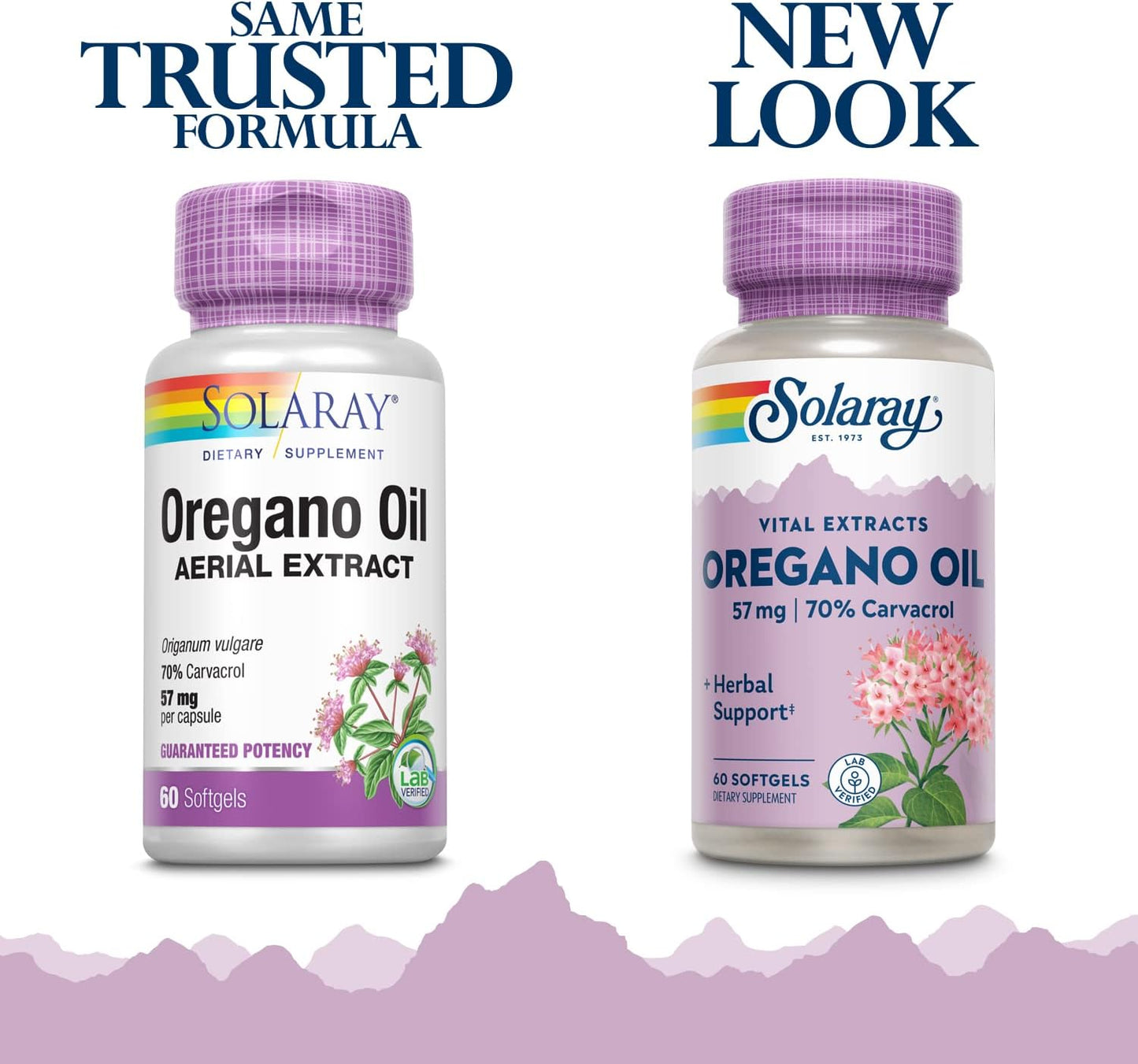 High Potency Solaray Oregano Oil Capsules with 70% Carvacrol | 60 Softgels