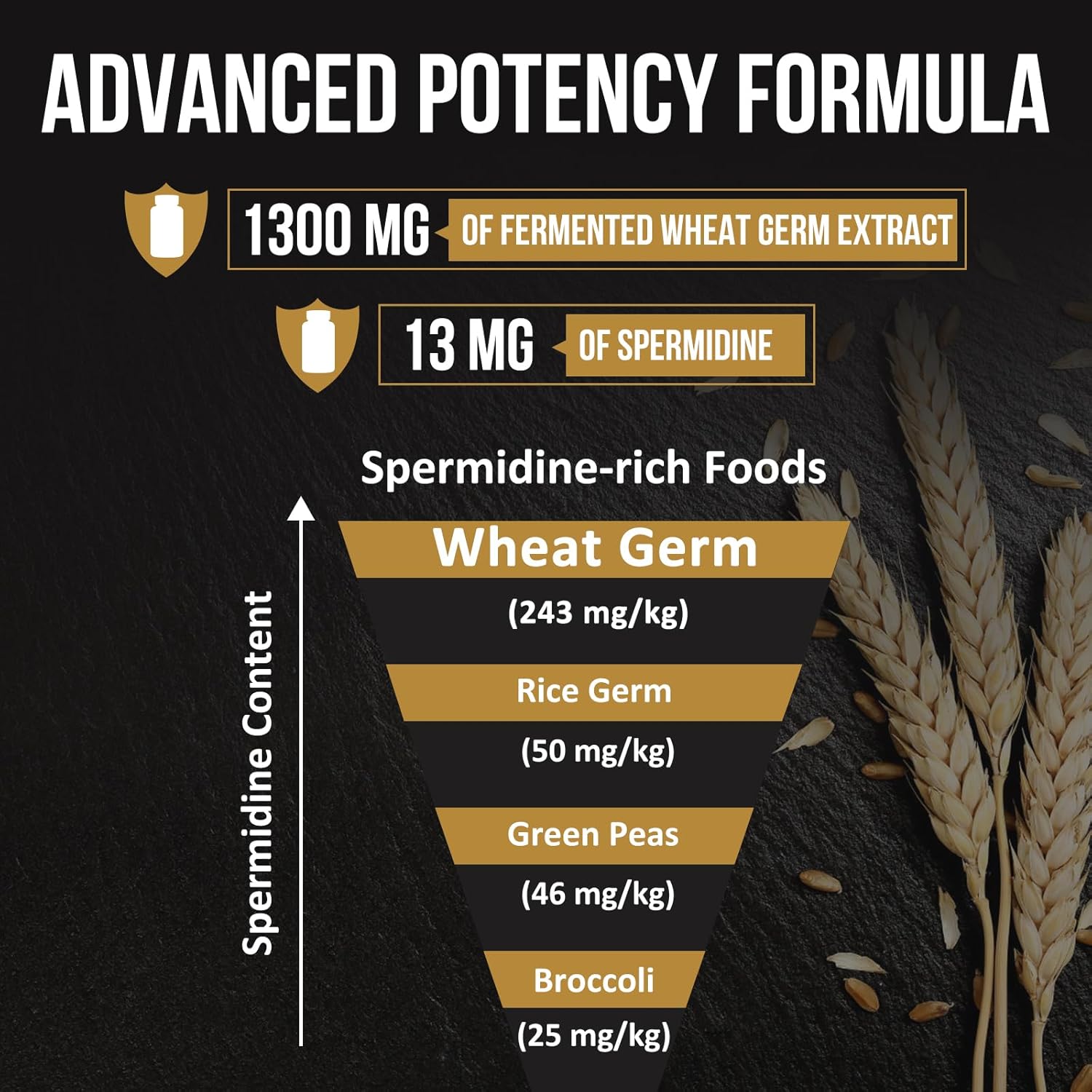 High Potency Thalacy Spermidine Supplements with Wheat Germ Extract Capsules - Enhanced Formula for Healthy Aging and Immune Support (4 Pack)