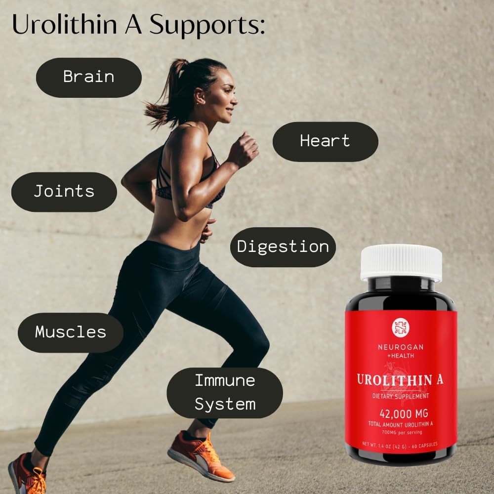 High-Potency Urolithin A Supplement Capsules for Cellular Regeneration - Energy, Aging, Focus, Muscle Recovery - Made in USA, 700mg, 60 Capsules
