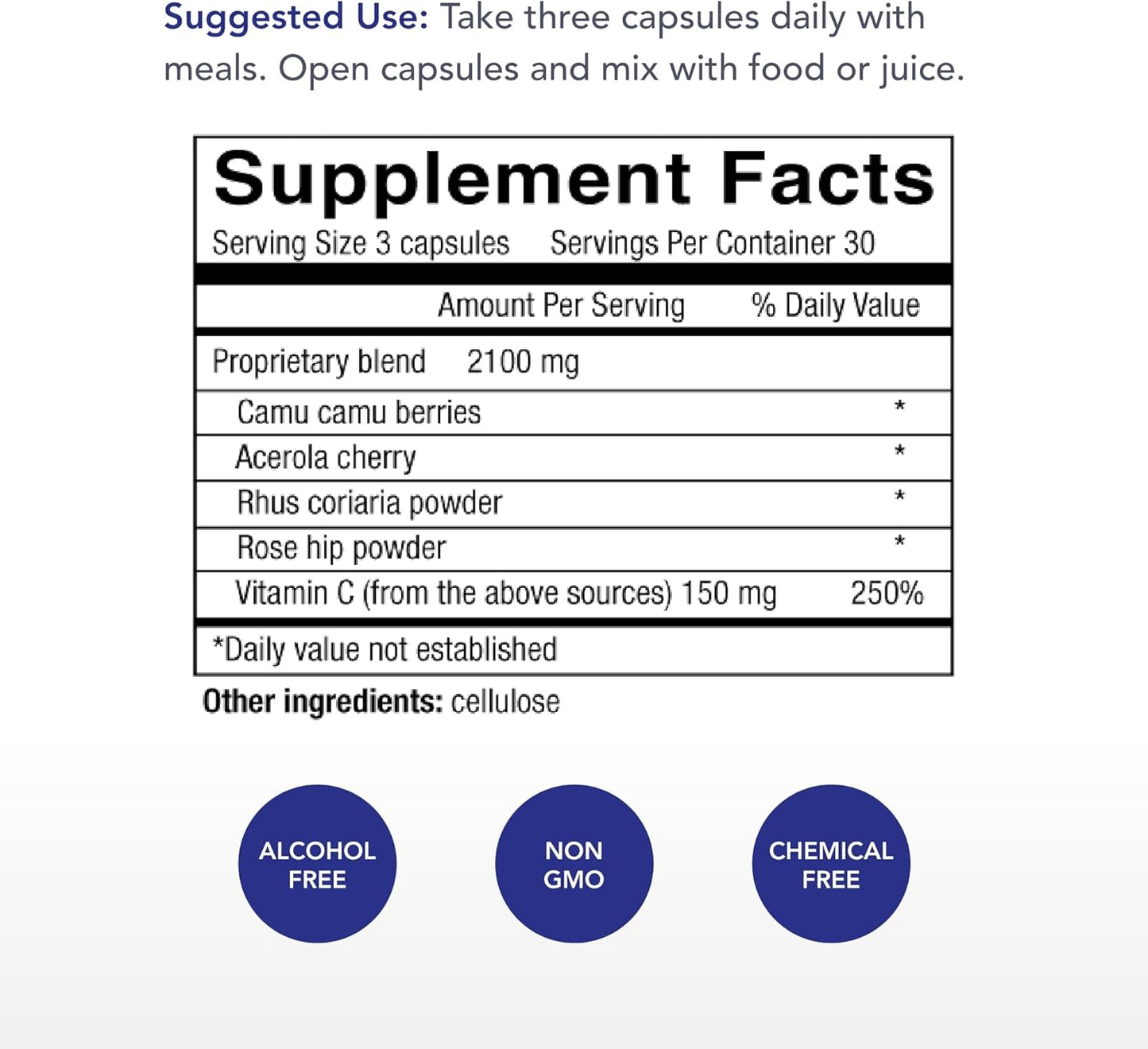 High-Potency Vitamin C Capsules with Camu Camu, Acerola Cherry, Rhus coriaria & Rose Hip - 90 Capsules - Kosher - 30 Servings