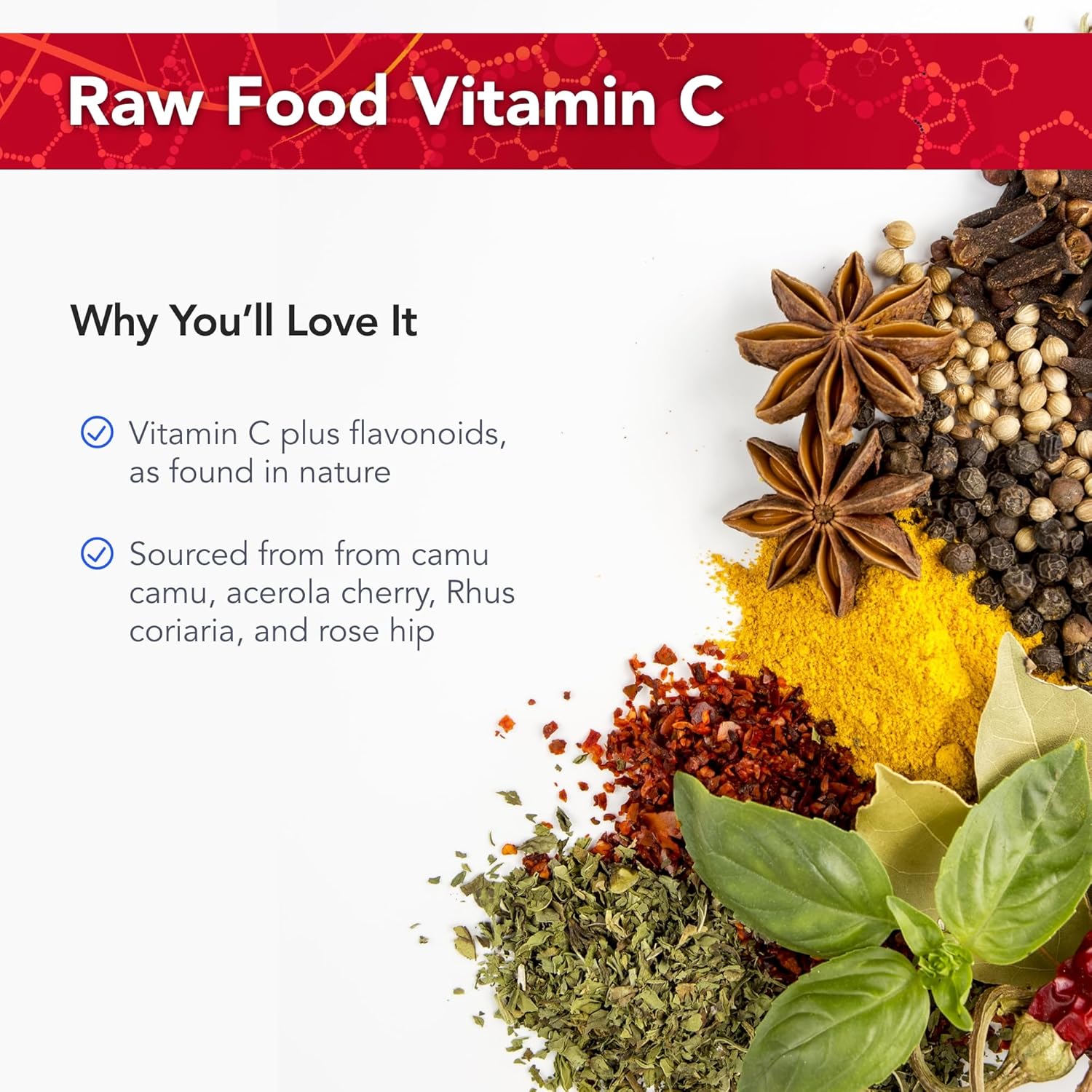 High-Potency Vitamin C Capsules with Camu Camu, Acerola Cherry, Rhus coriaria & Rose Hip - 90 Capsules - Kosher - 30 Servings