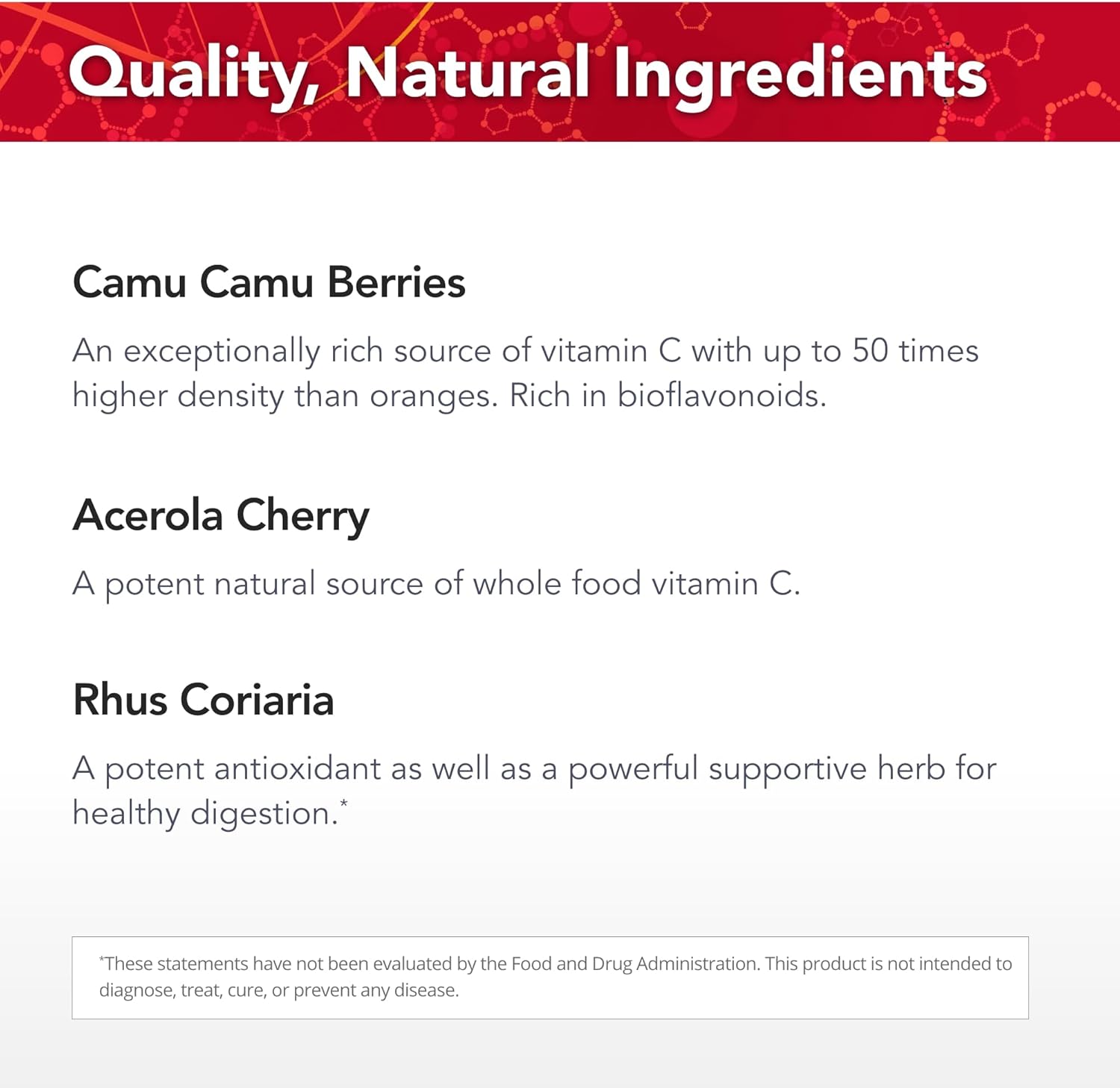 High-Potency Vitamin C Capsules with Camu Camu, Acerola Cherry, Rhus coriaria & Rose Hip - 90 Capsules - Kosher - 30 Servings