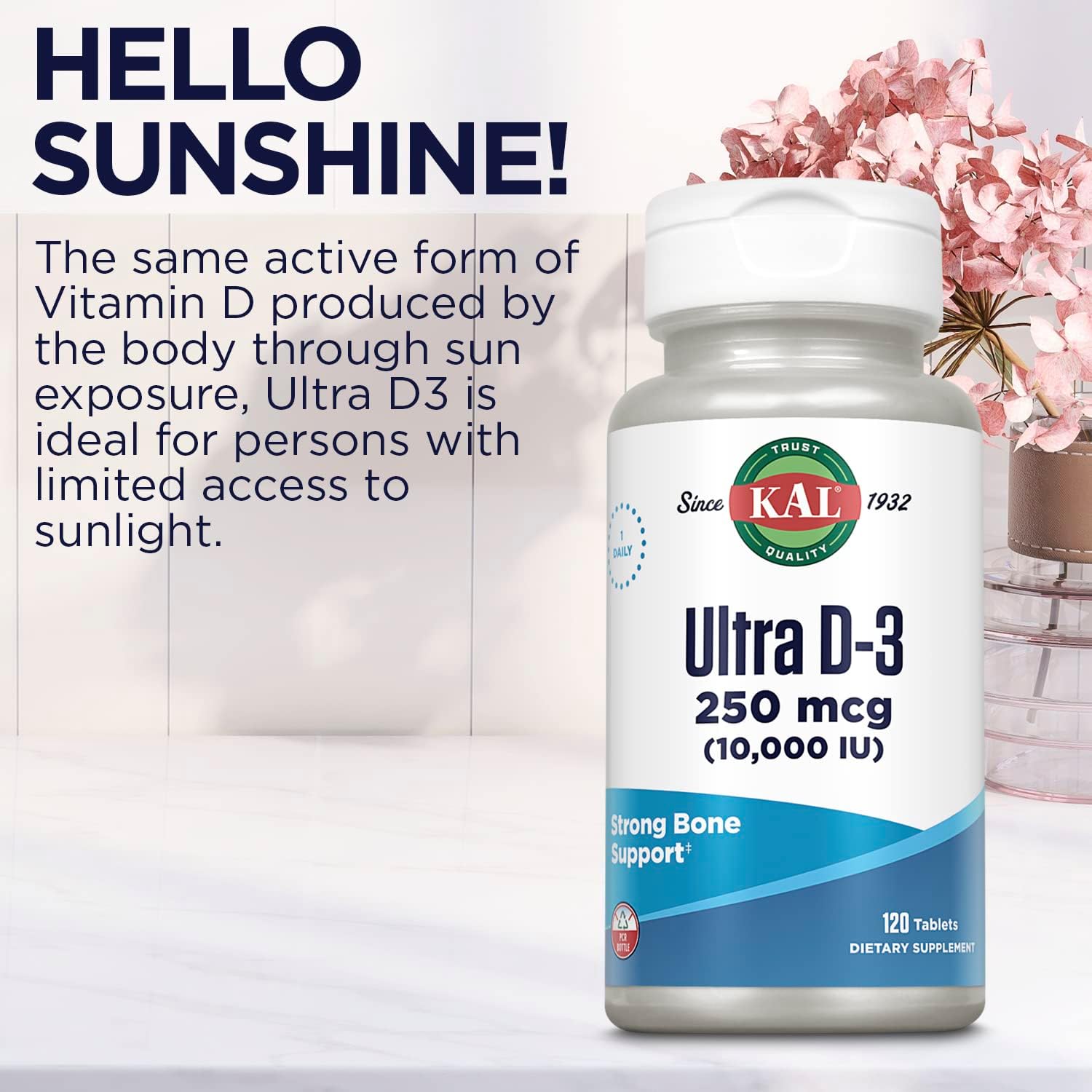 High Potency Vitamin D3 Tablets for Bone Health & Immune Support - 10000 IU, 250 mcg, 120 Tablets