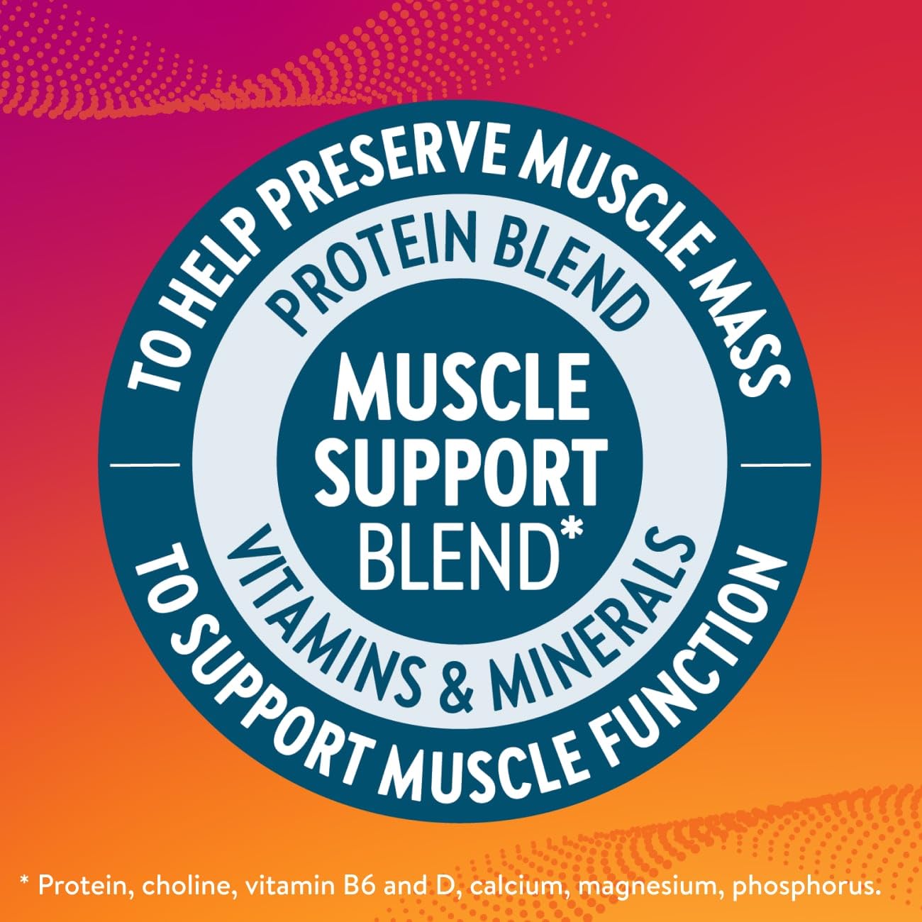 High Protein Milk Chocolate Shake for Weight Loss | 30g Protein, 1g Sugar | Muscle Health Support | 12 Pack