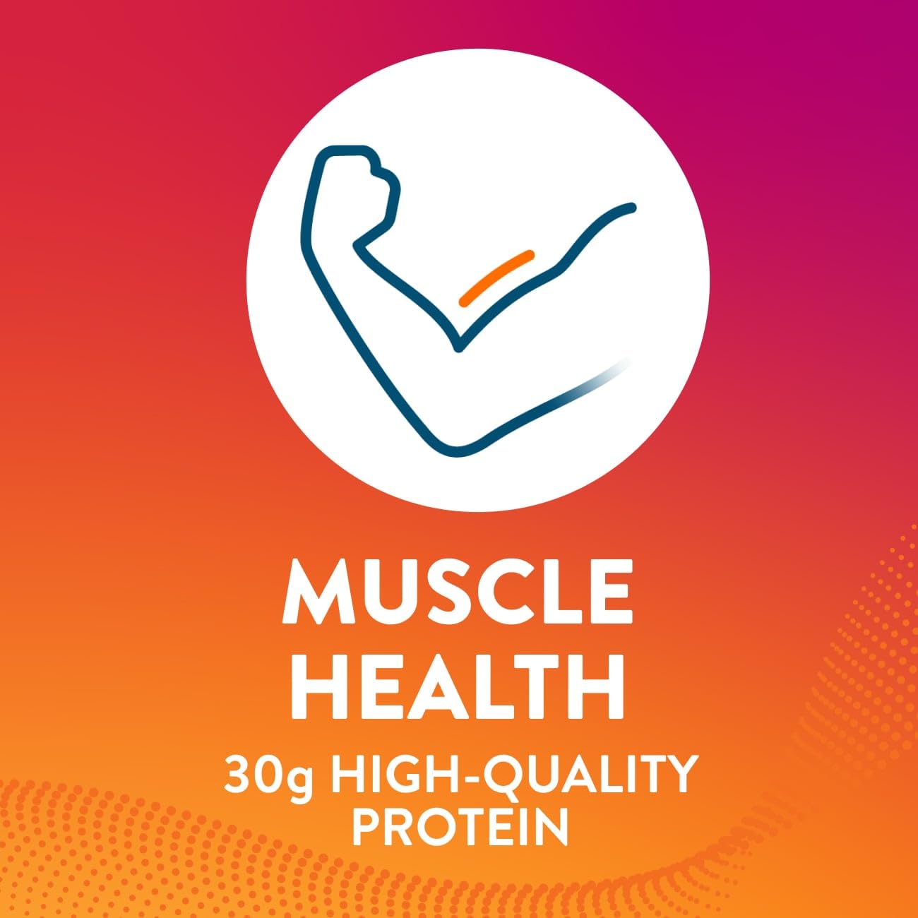 High Protein Milk Chocolate Shake for Weight Loss | 30g Protein, 1g Sugar | Muscle Health Support | 12 Pack