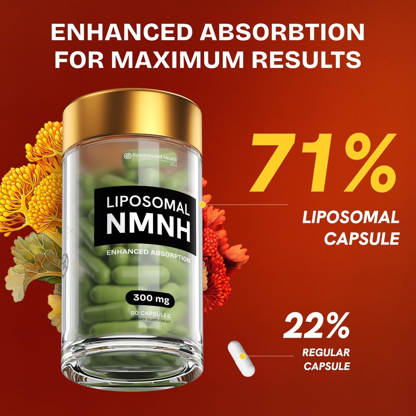 High Purity Liposomal NMNH Supplement for Anti Aging and Energy - 60 Capsules of 300mg NAD - Resurrected Health Formula