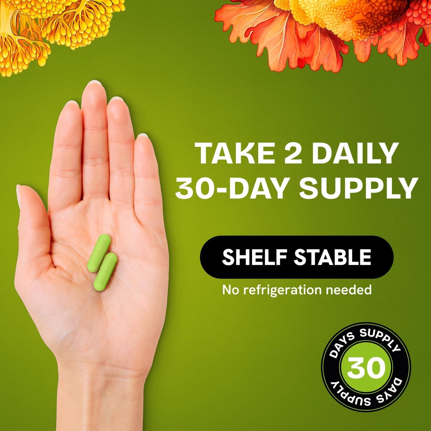 High Purity Liposomal NMNH Supplement for Anti Aging and Energy - 60 Capsules of 300mg NAD - Resurrected Health Formula