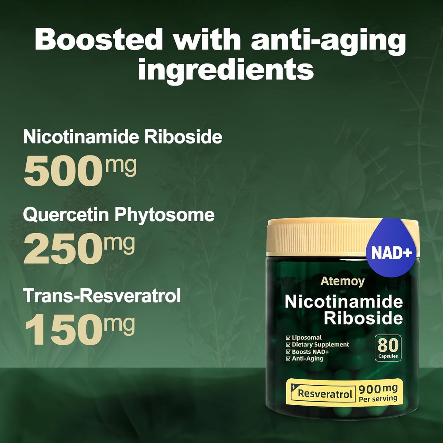 High Purity NAD+ Supplement with Liposomal Nicotinamide Riboside, Resveratrol, and Quercetin - 80 Capsules for Energy and Focus