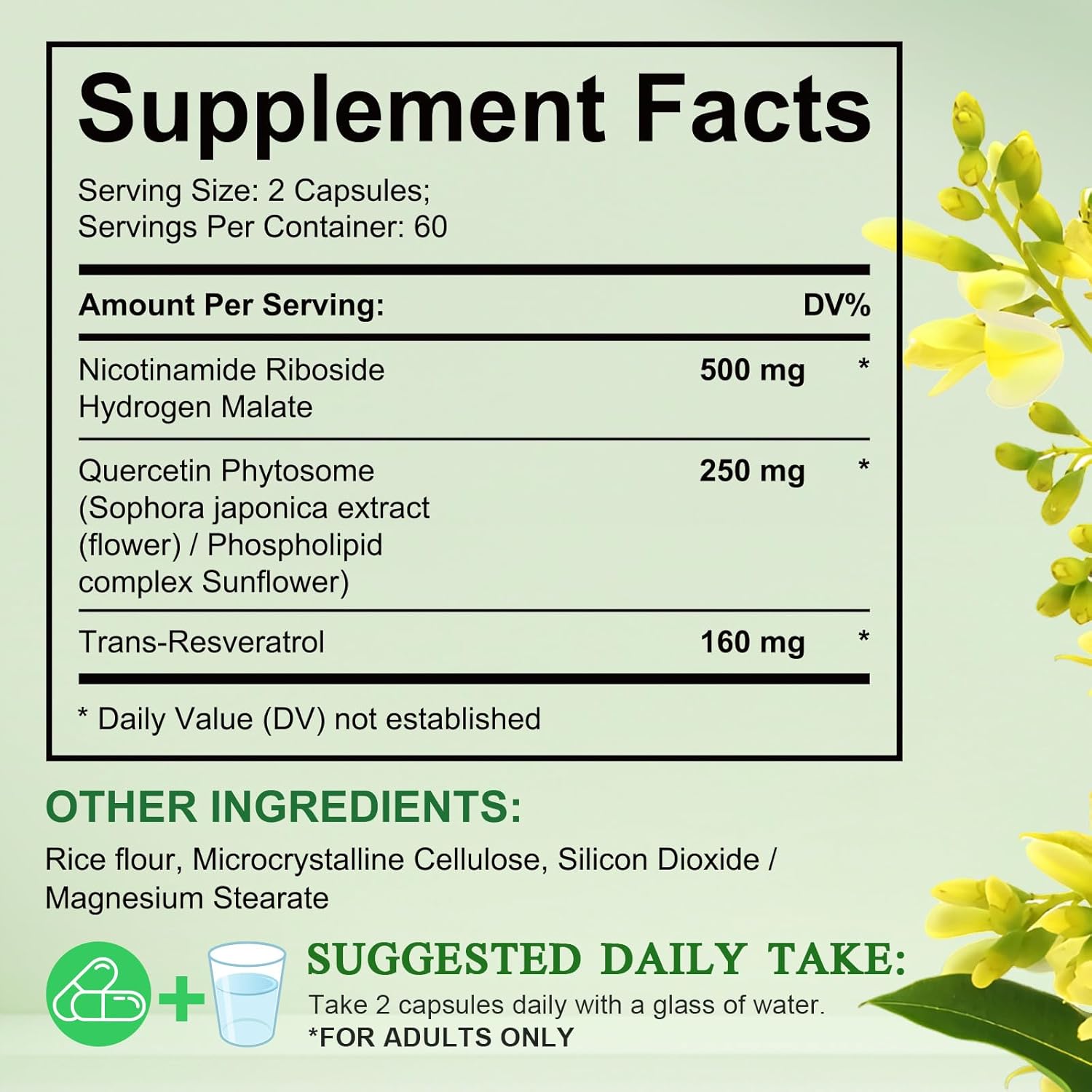 High Purity NAD Supplement with Resveratrol for Healthy Cellular Function - 910mg - 120 Capsules