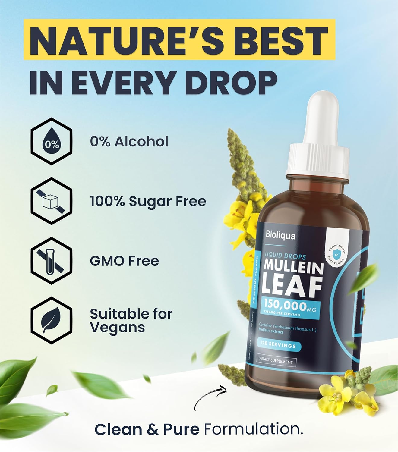 High Strength Balance ™ Bioliqua Mullein Drops for Lungs - 150,000mg per 4oz Tincture - 120 Servings - Lung Detox & Bronchial Cleanse - Coconut Flavor
